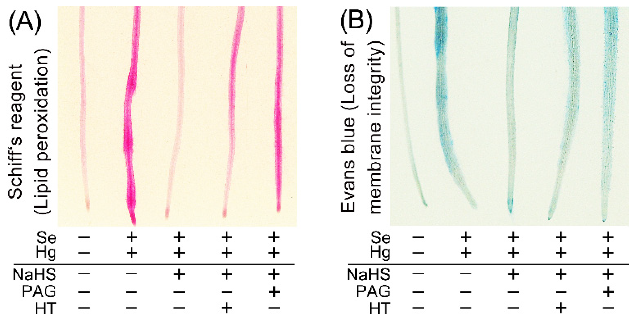 Ijms 23 02854 g005 550