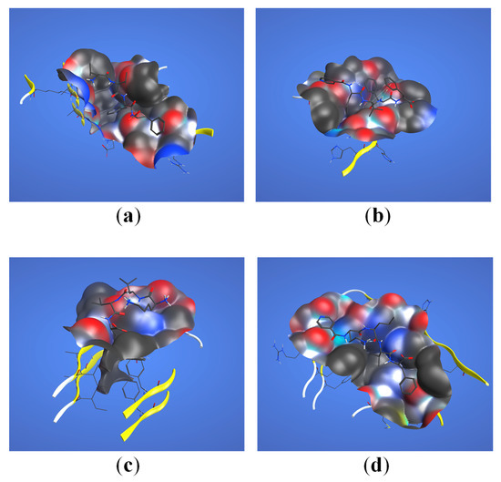 Novel Design of Neuropeptide-Based Drugs with β-Sheet