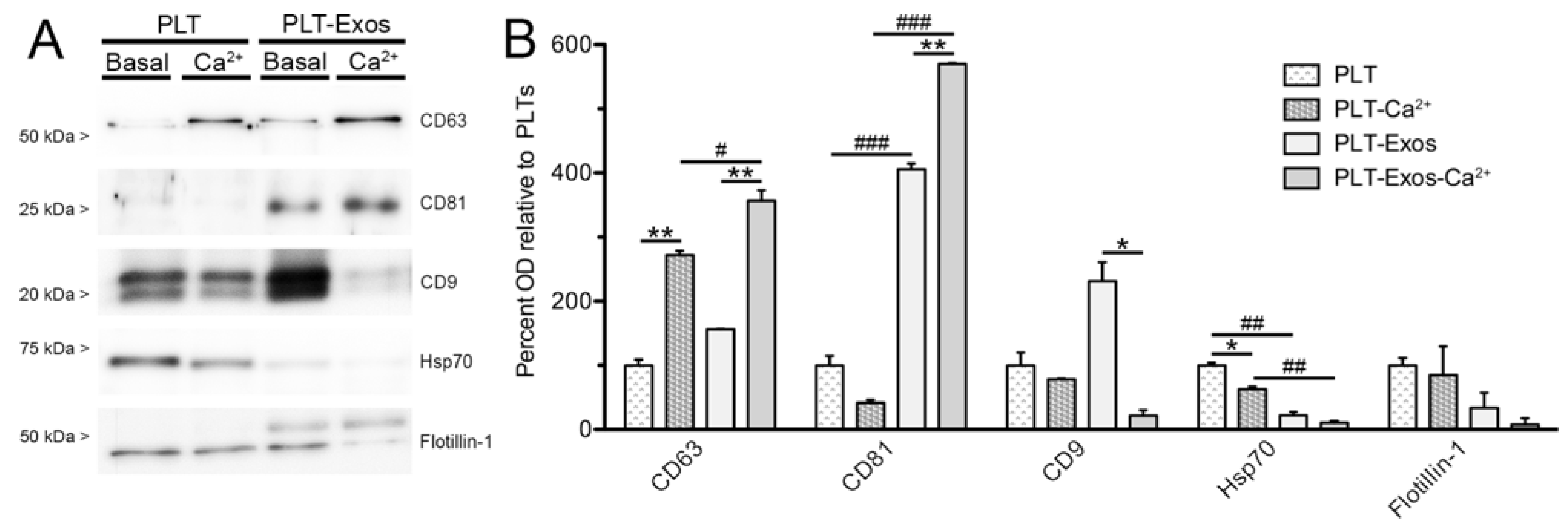 Ijms 23 02861 g003 550