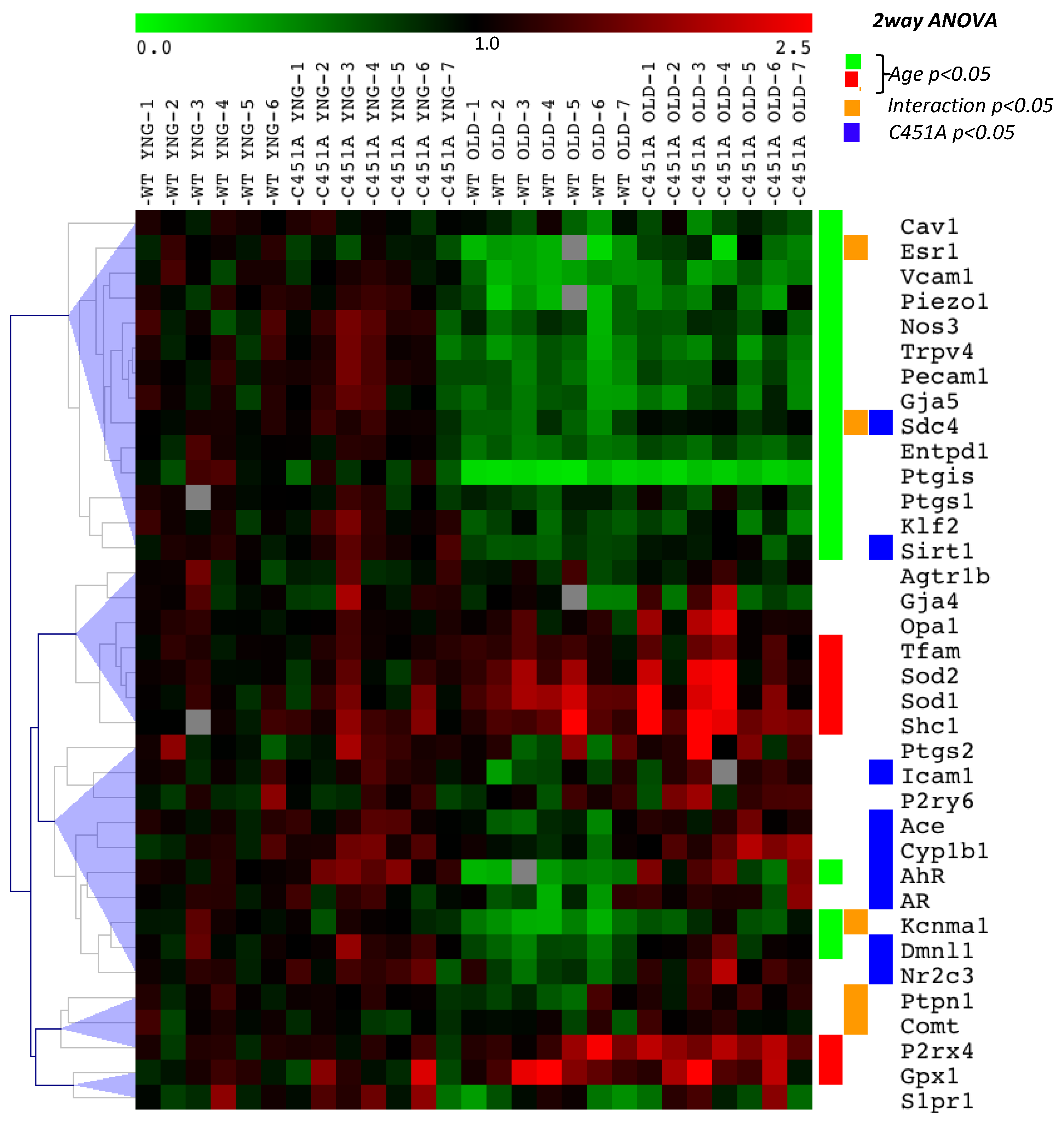 Ijms 23 02862 g007 Ijms 23 02862 g007