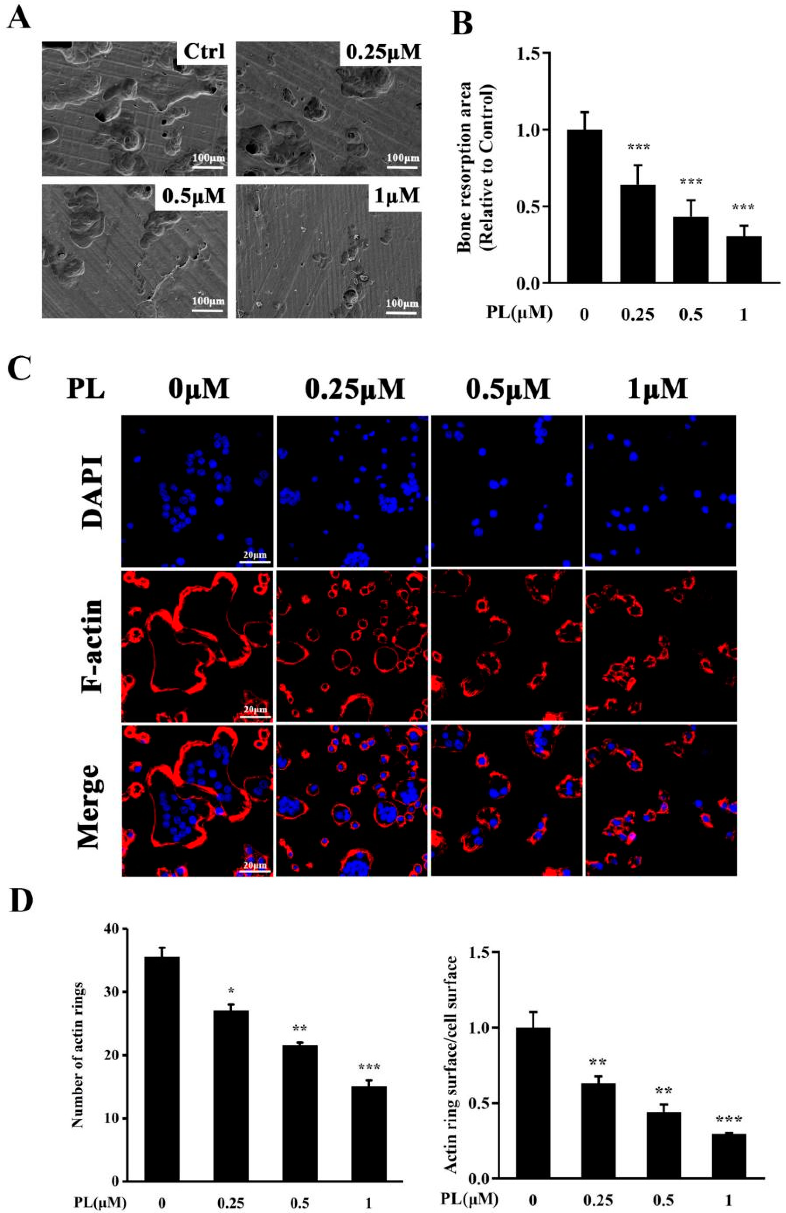 Ijms 23 02868 g003 550