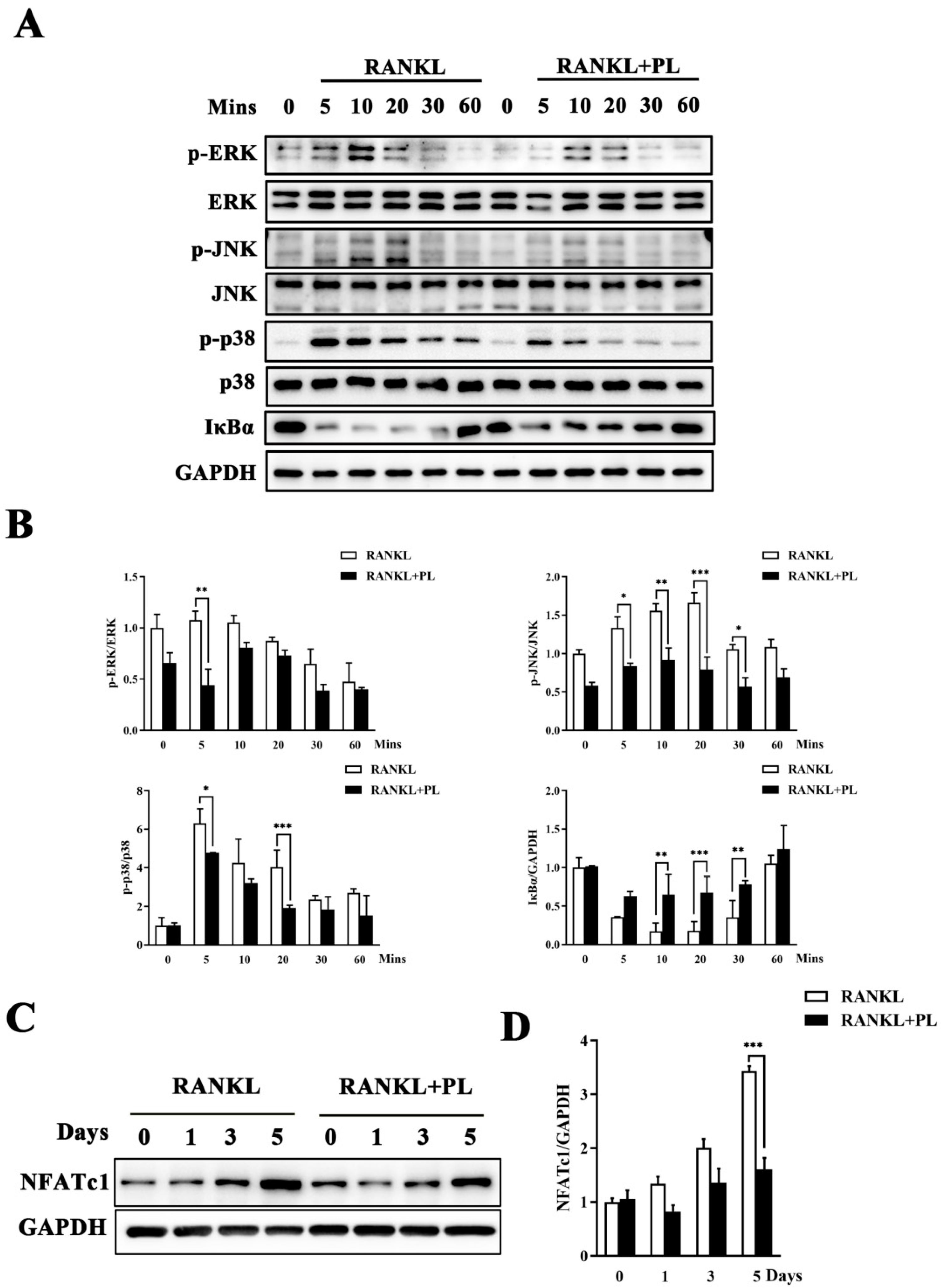 Ijms 23 02868 g005 550