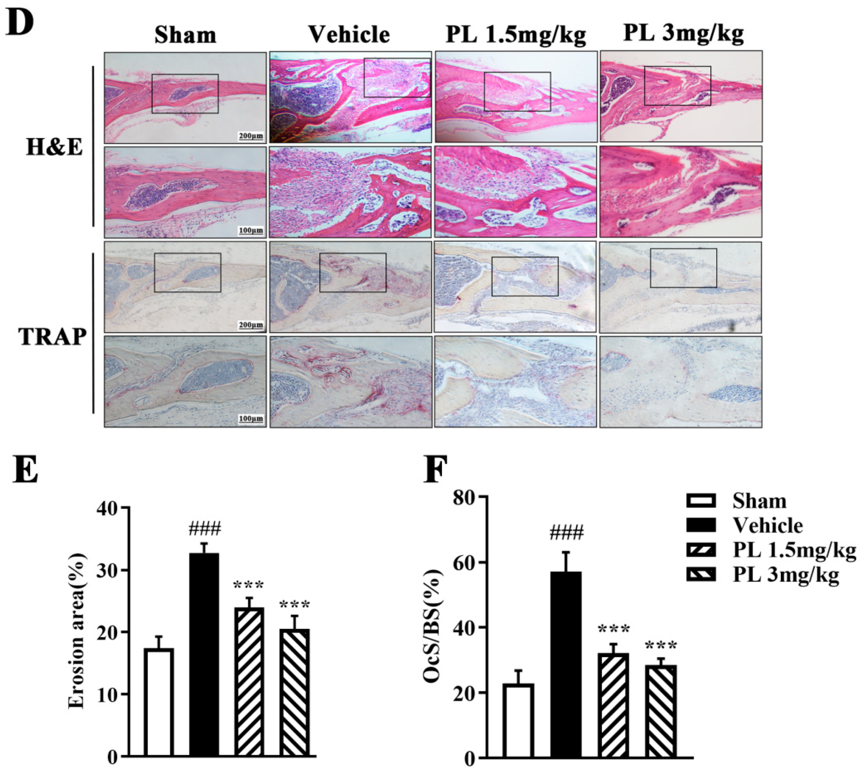 Ijms 23 02868 g006b 550