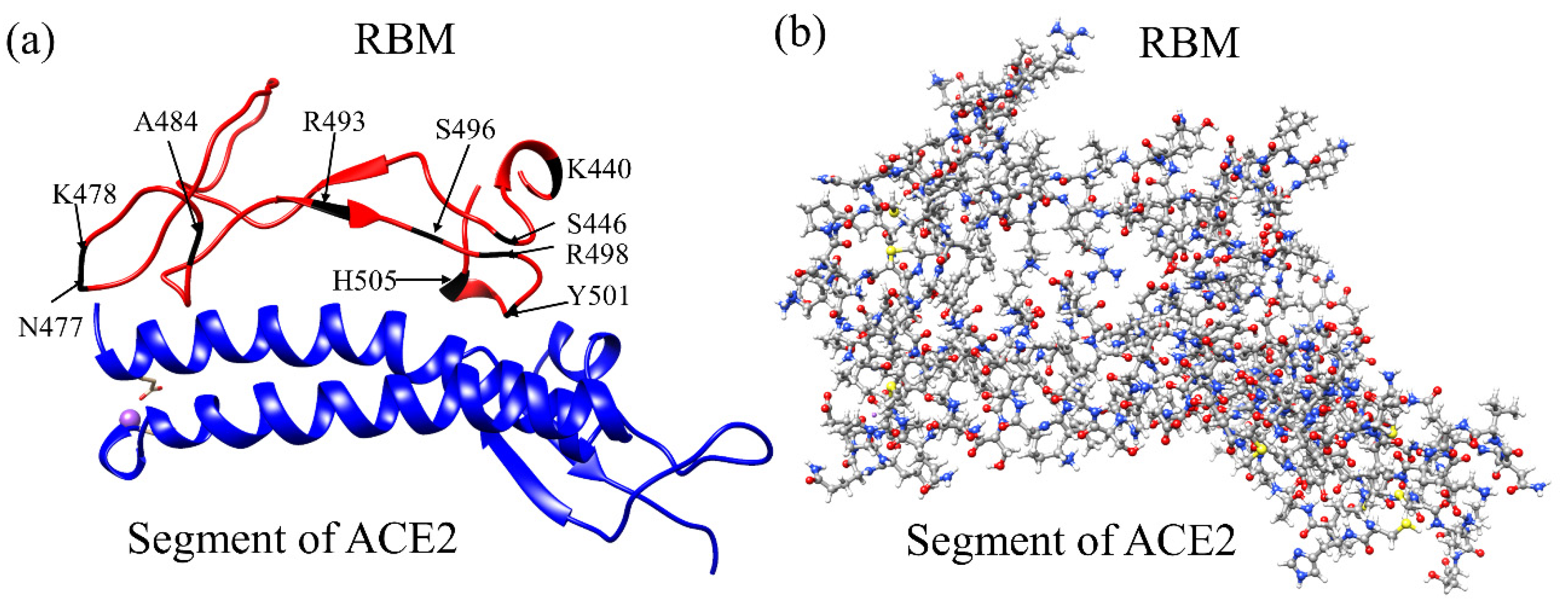 Ijms 23 02870 g001 550