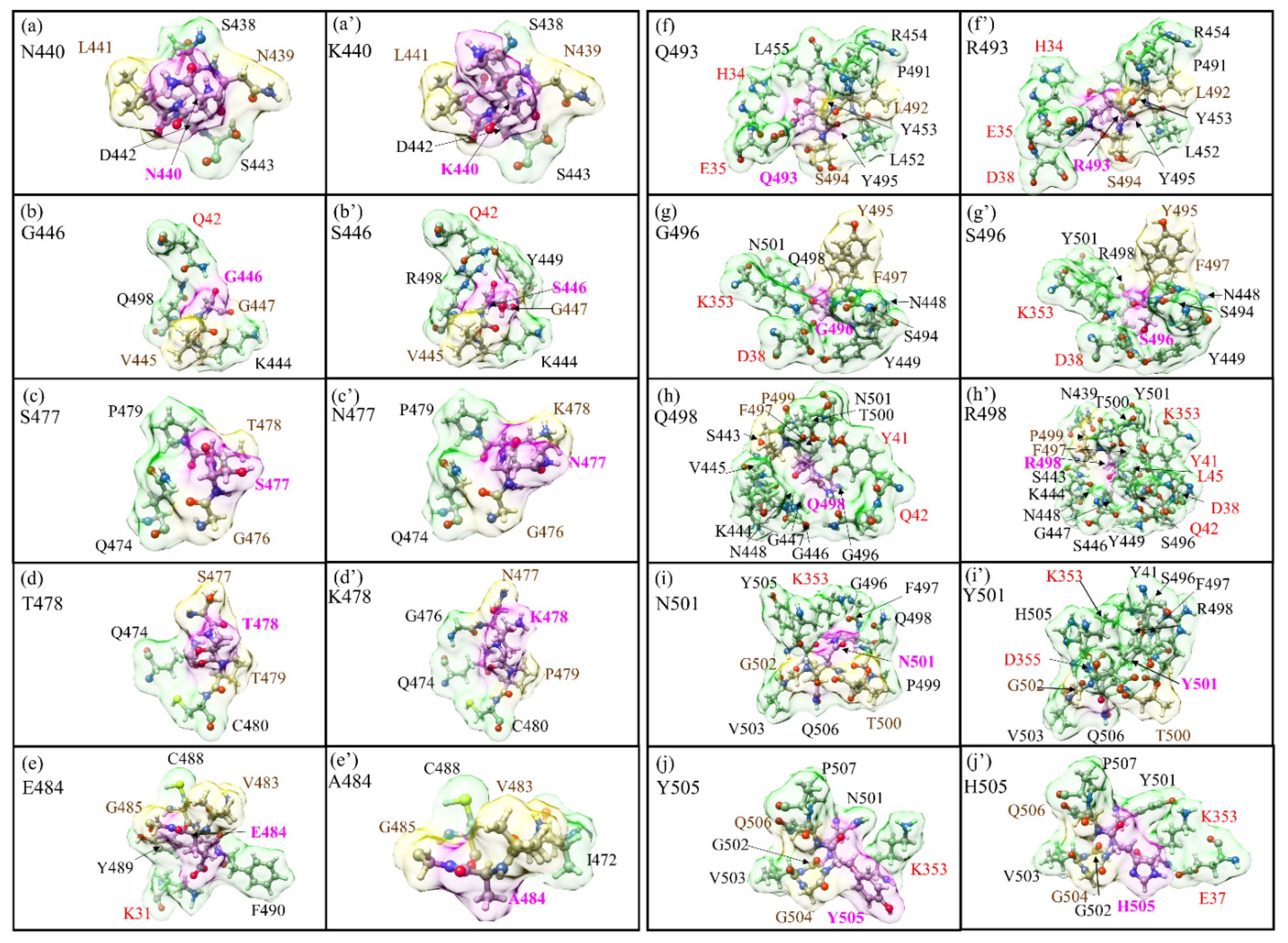 Ijms 23 02870 g002 550