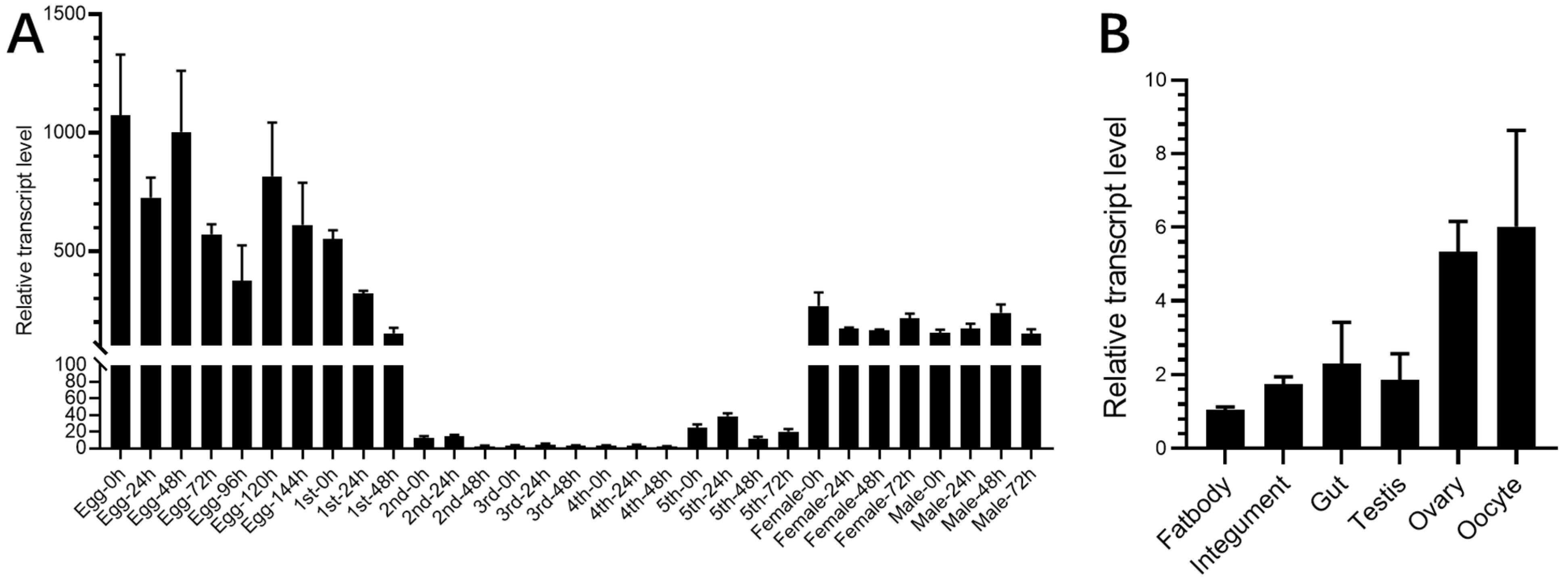 Ijms 23 02875 g001 Ijms 23 02875 g001