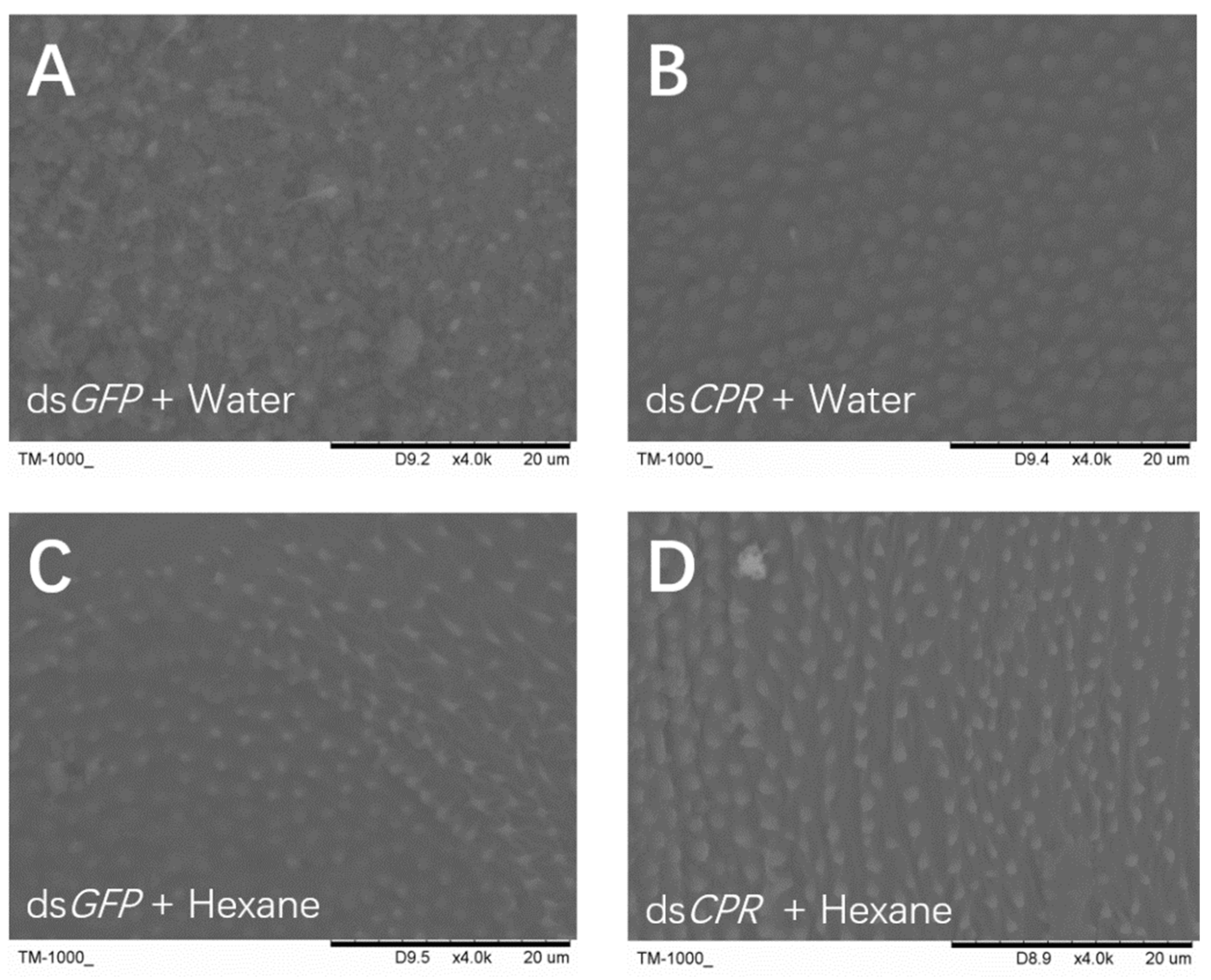 Ijms 23 02875 g005 Ijms 23 02875 g005