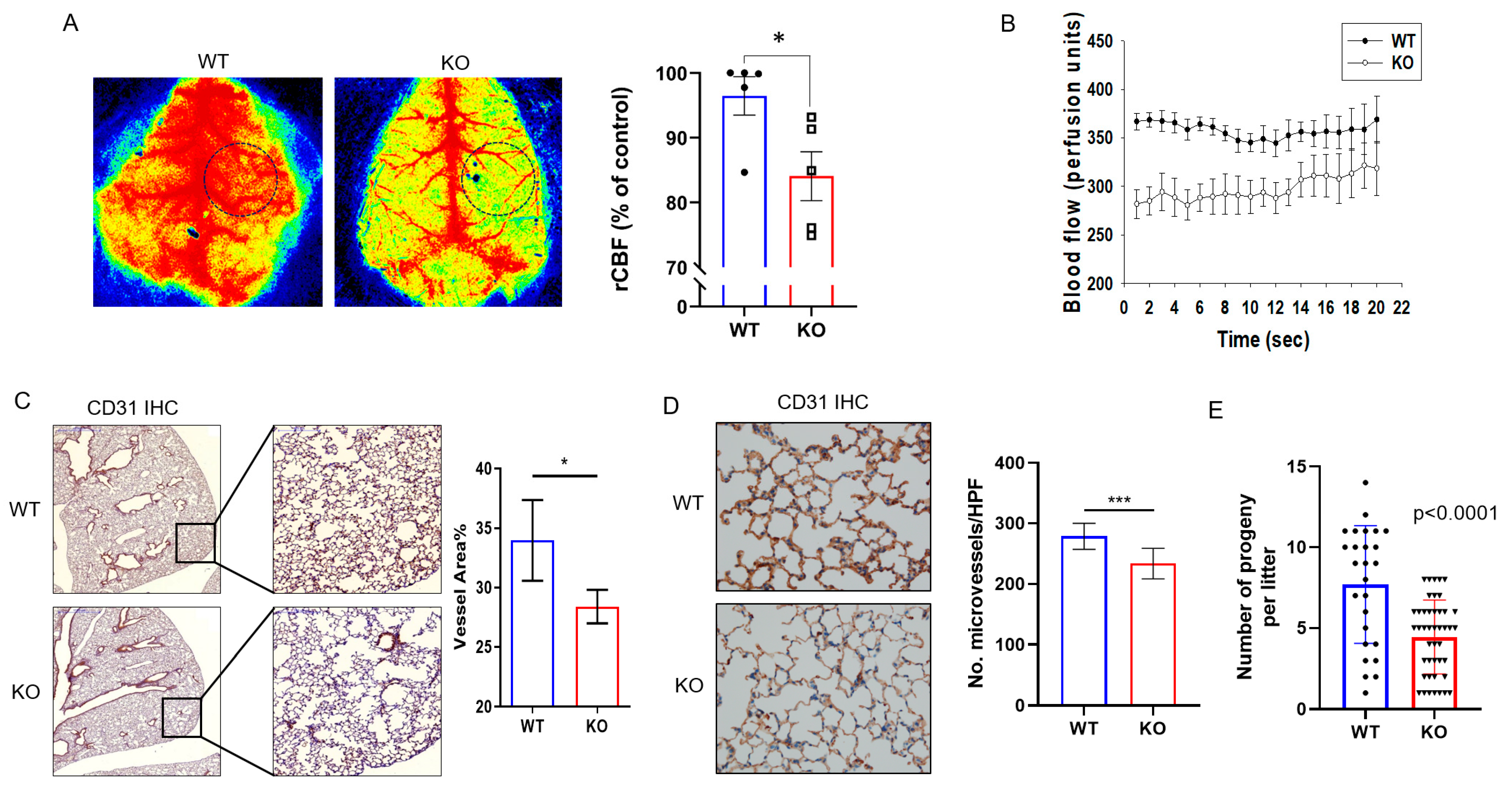 Ijms 23 02877 g001 550