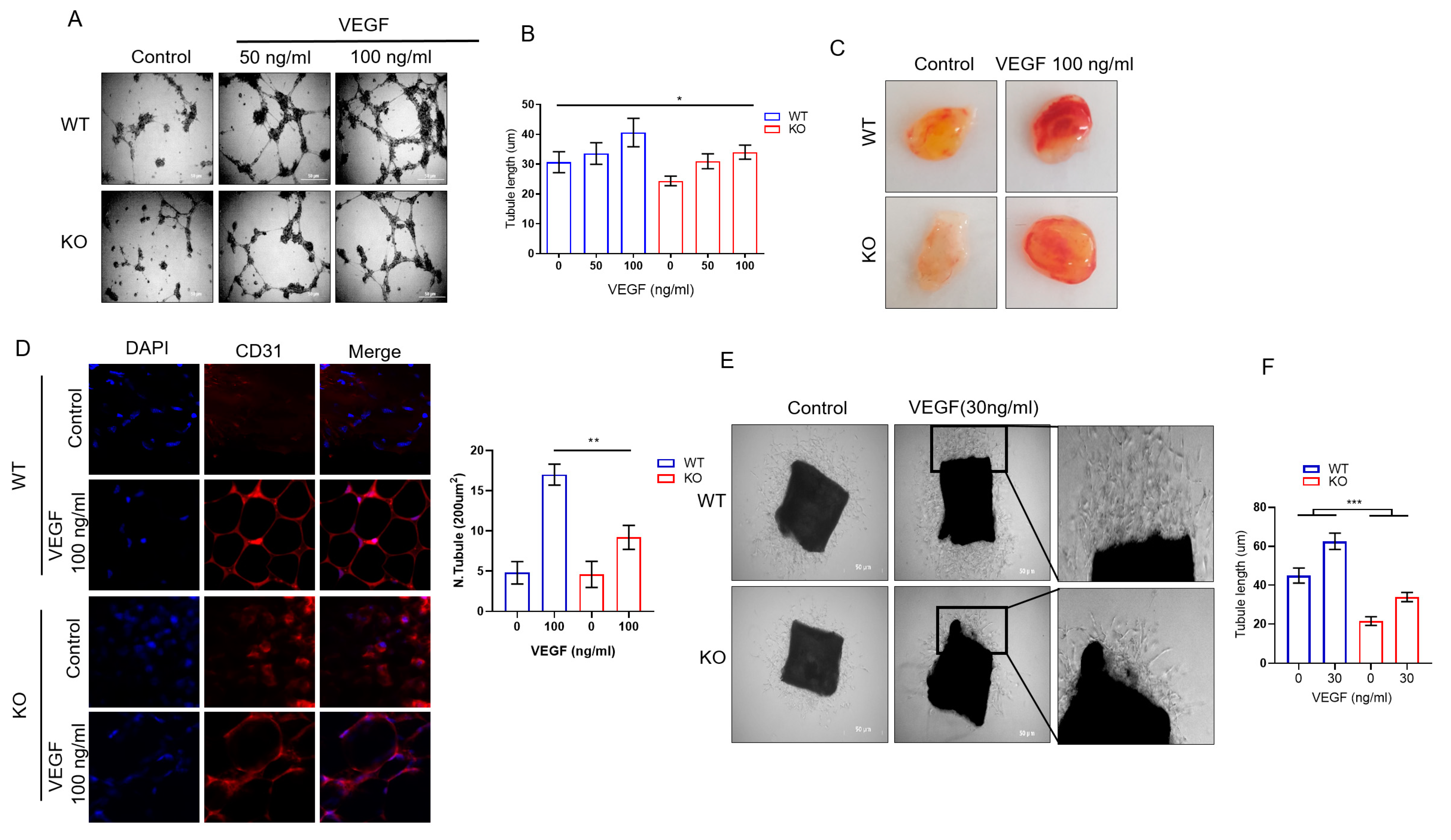 Ijms 23 02877 g002 550