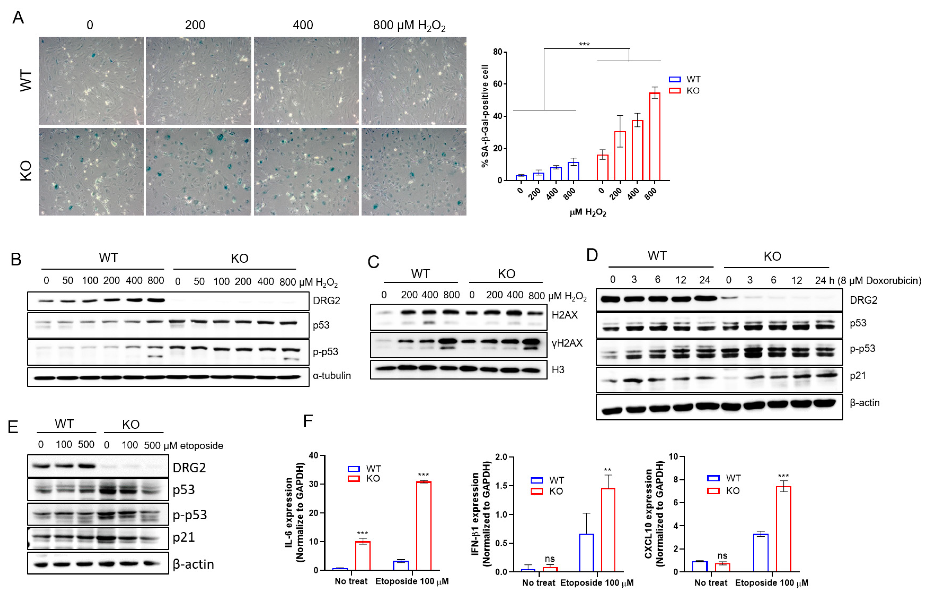 Ijms 23 02877 g004 550