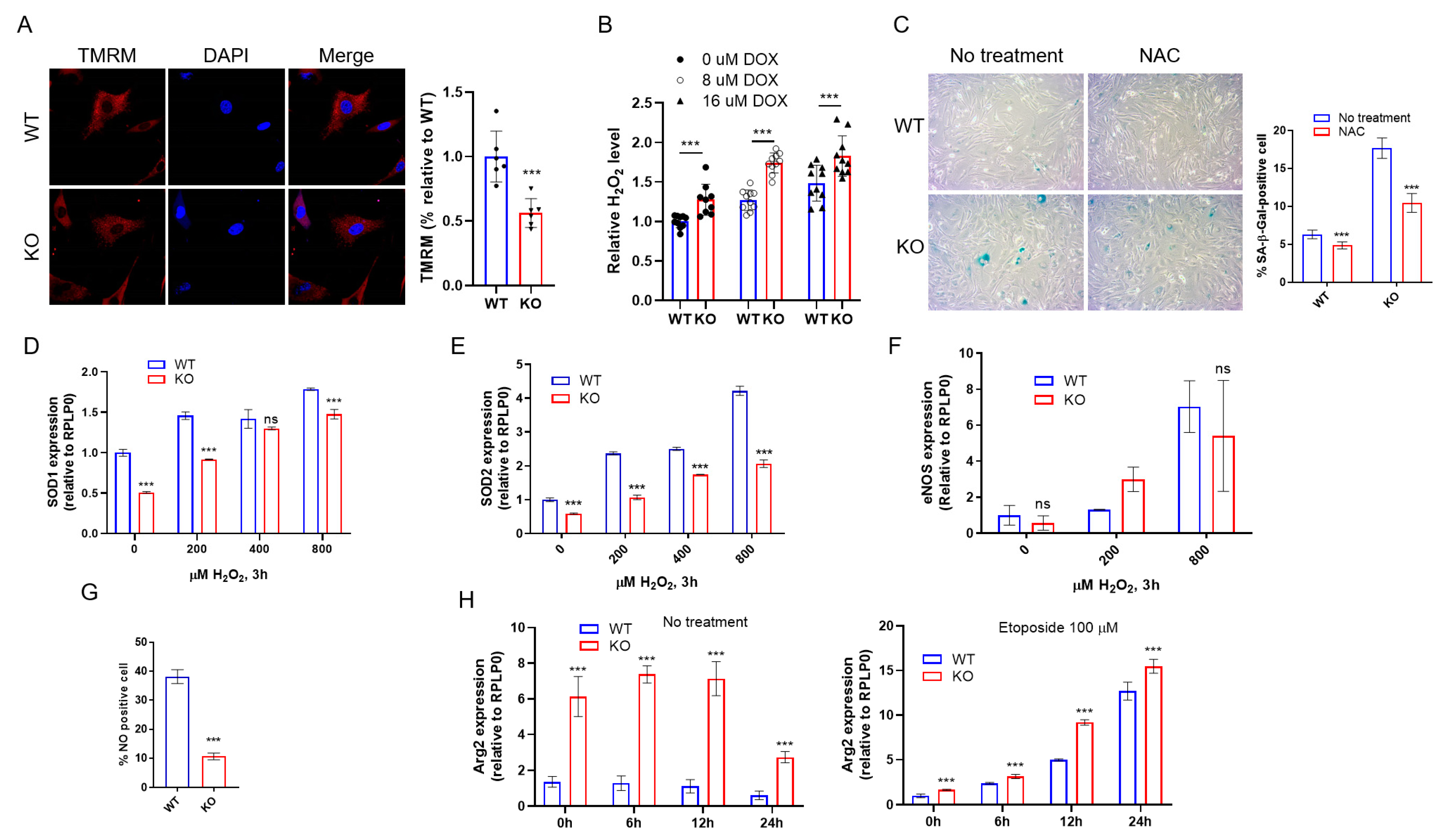 Ijms 23 02877 g005 550