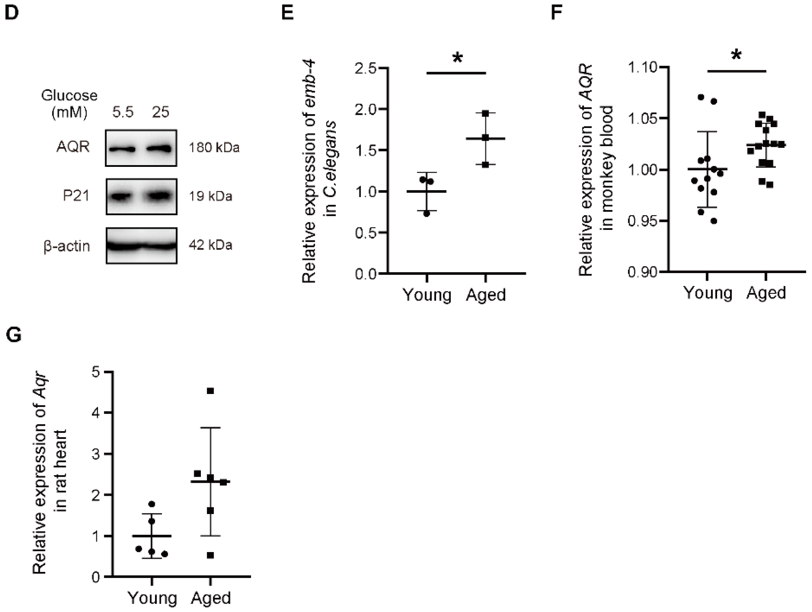 Ijms 23 02879 g001b Ijms 23 02879 g001b