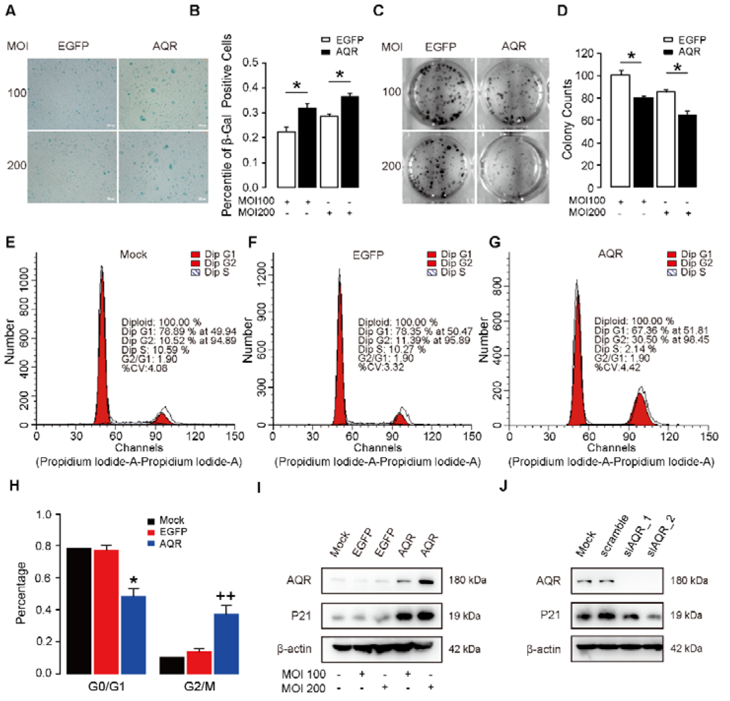 Ijms 23 02879 g002 Ijms 23 02879 g002