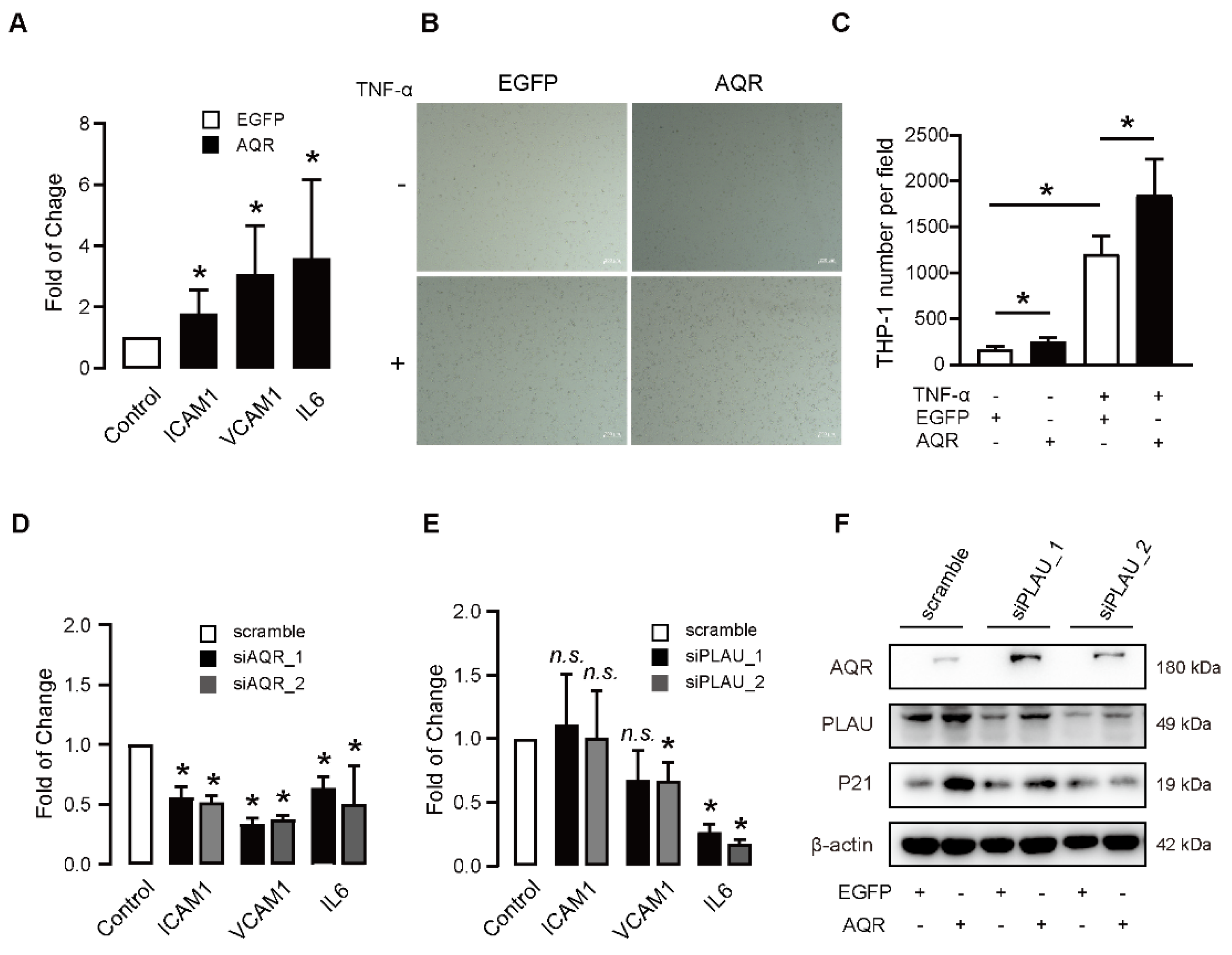 Ijms 23 02879 g004 Ijms 23 02879 g004
