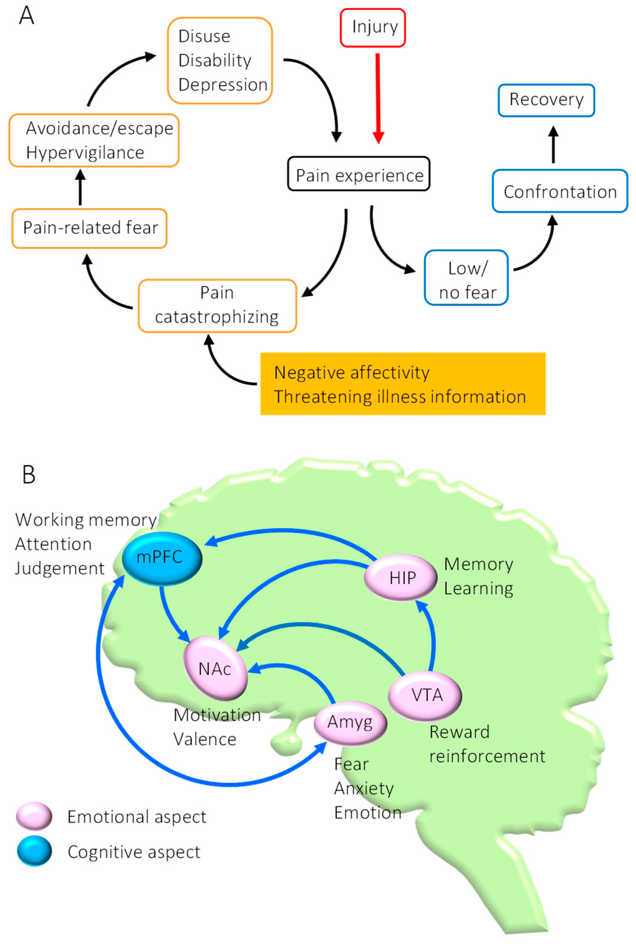 Ijms 23 02886 g001 550