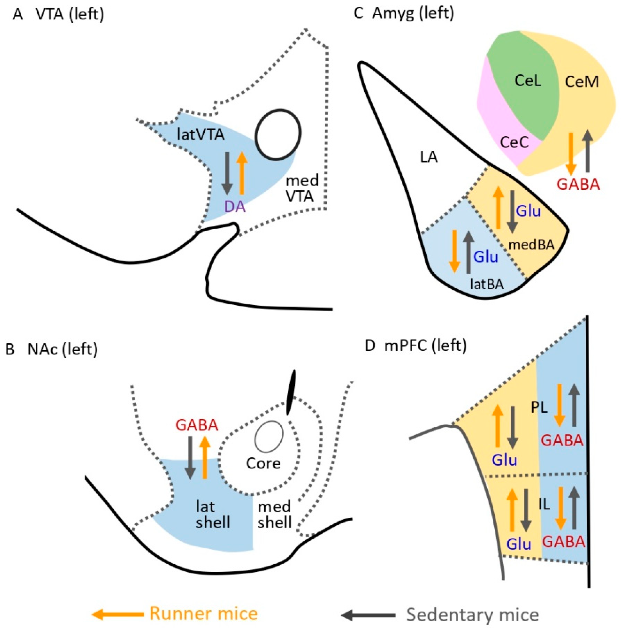 Ijms 23 02886 g003 550