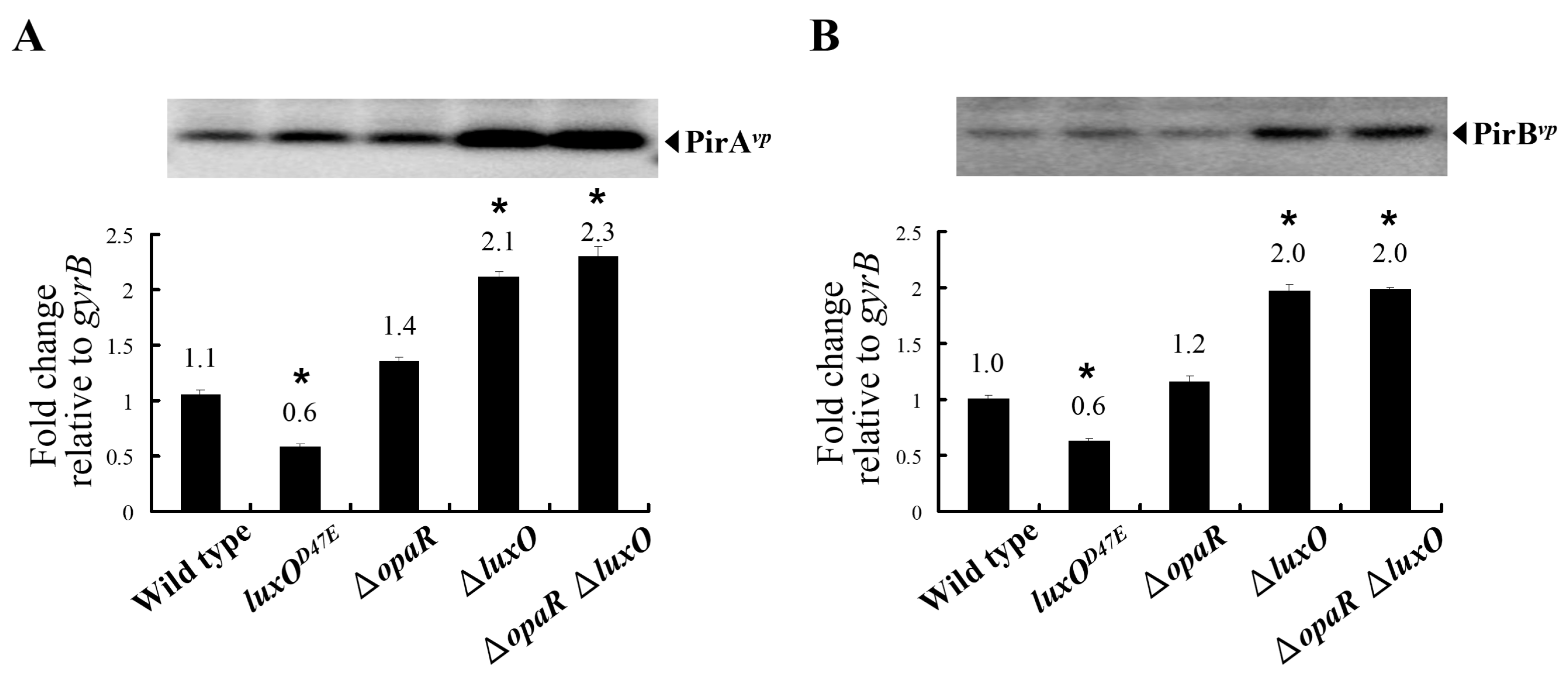 Ijms 23 02889 g004 550