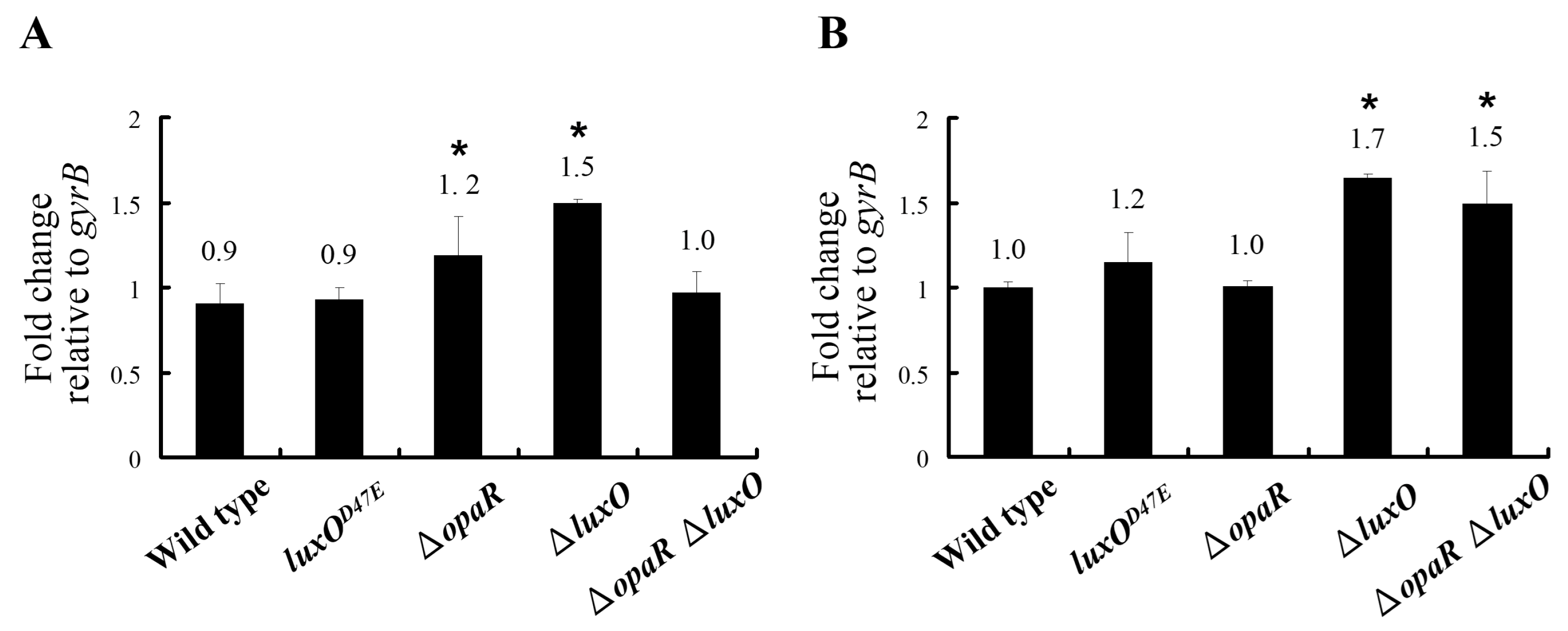 Ijms 23 02889 g006 550