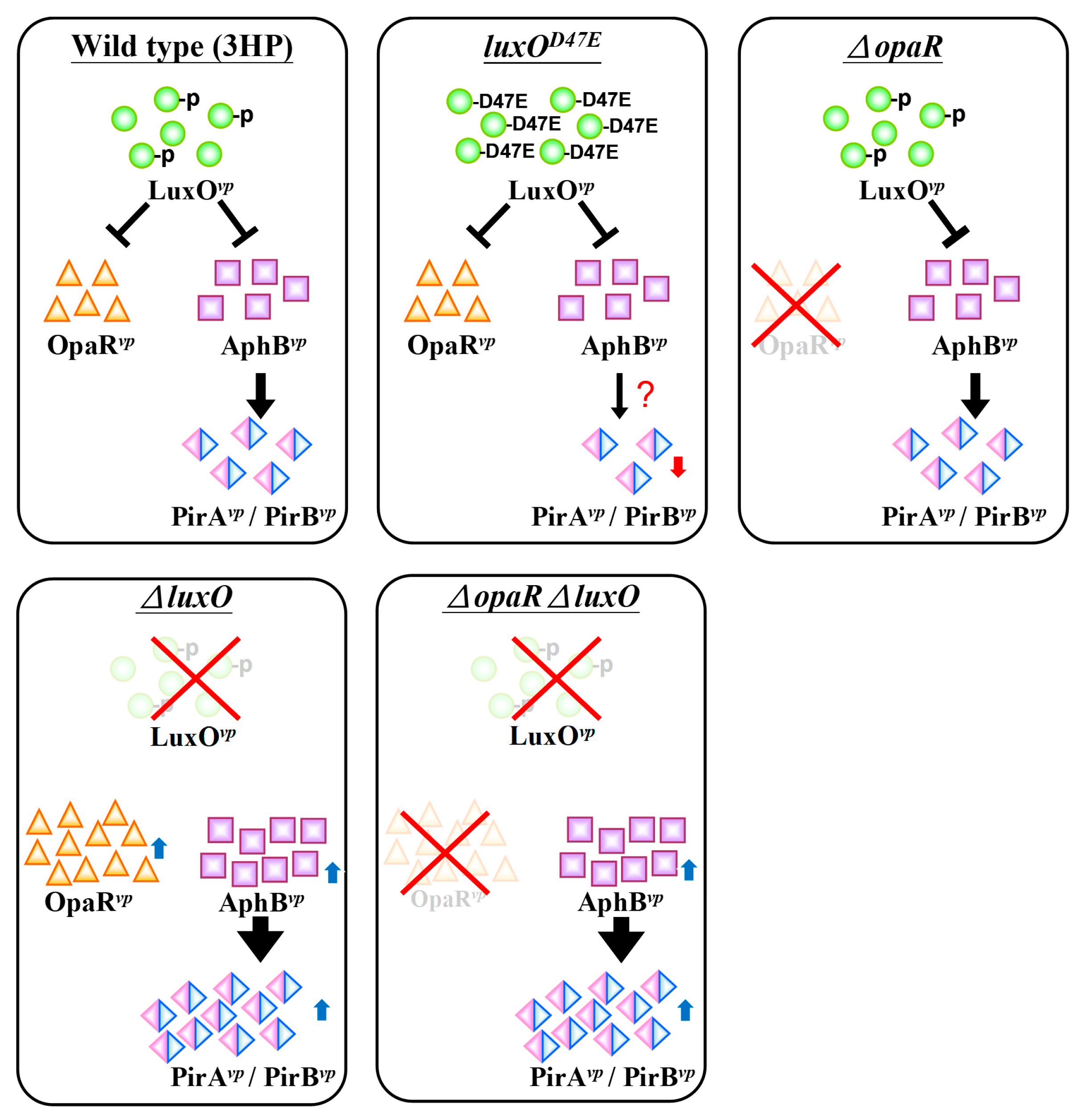 Ijms 23 02889 g009 550