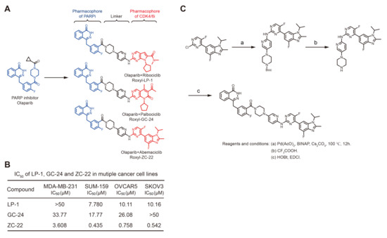 A Novel CDK4/6 and PARP Dual Inhibitor ZC-22 Effectively
