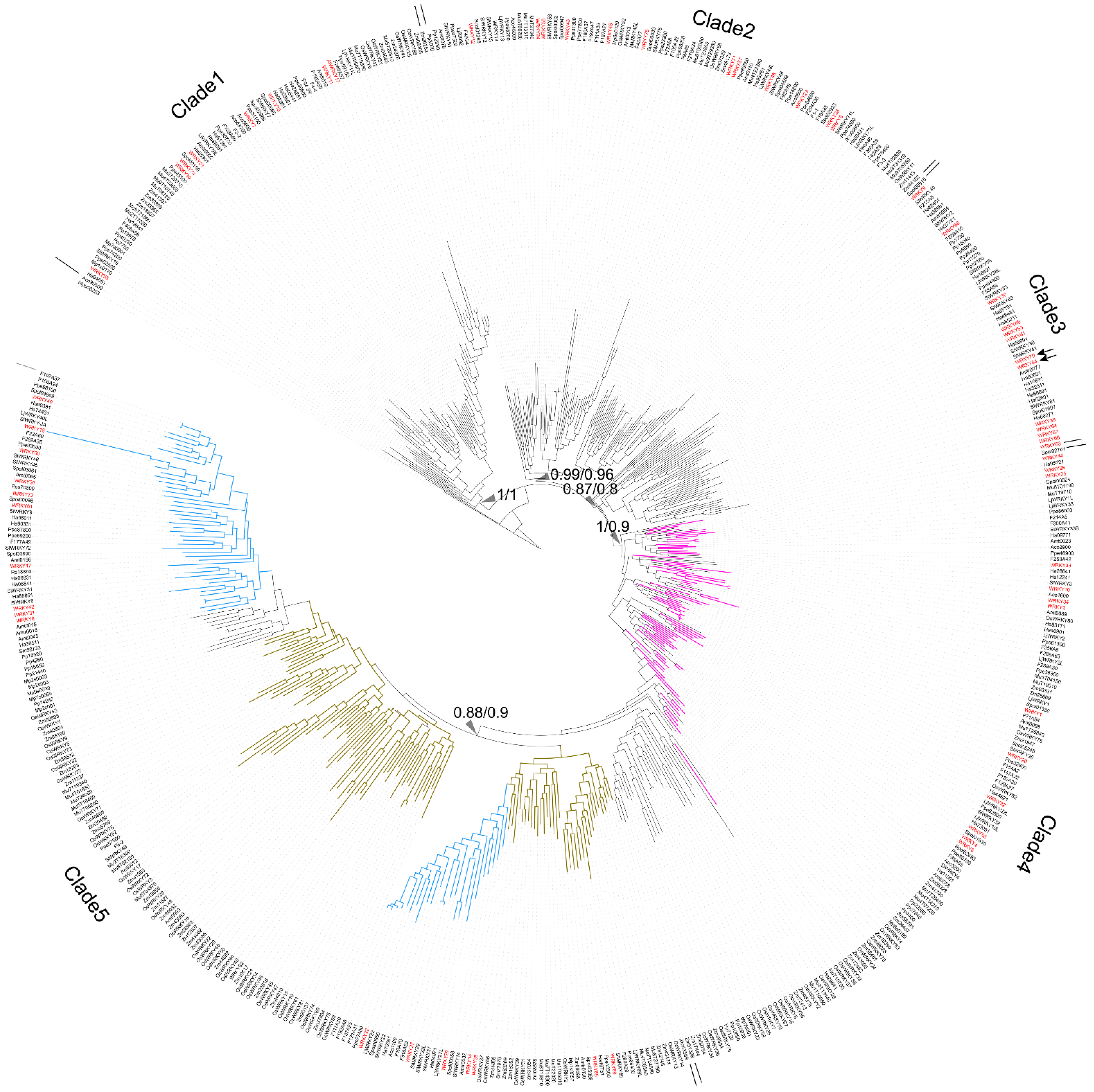 Ijms 23 02895 g001 550
