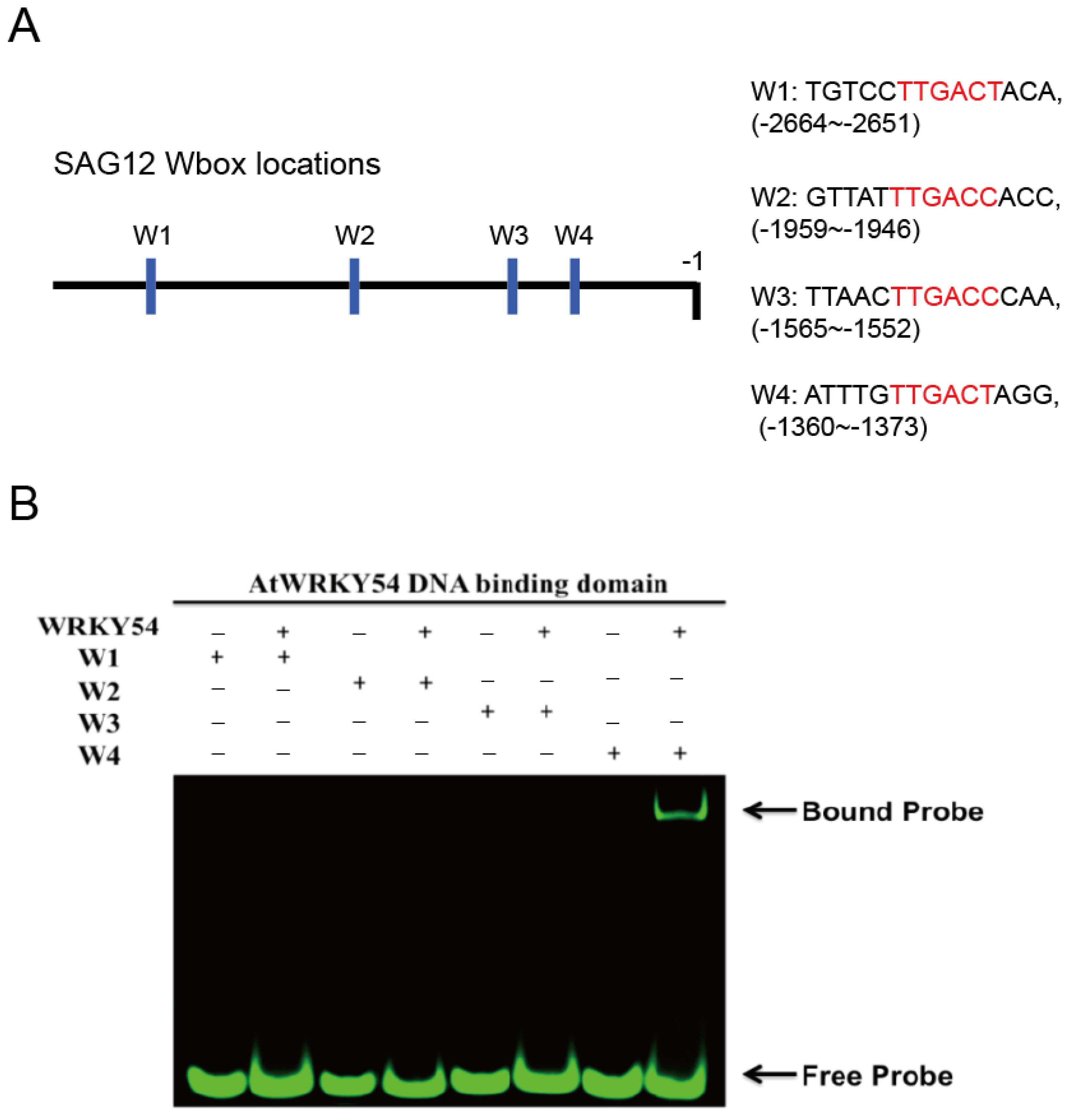 Ijms 23 02895 g003 550