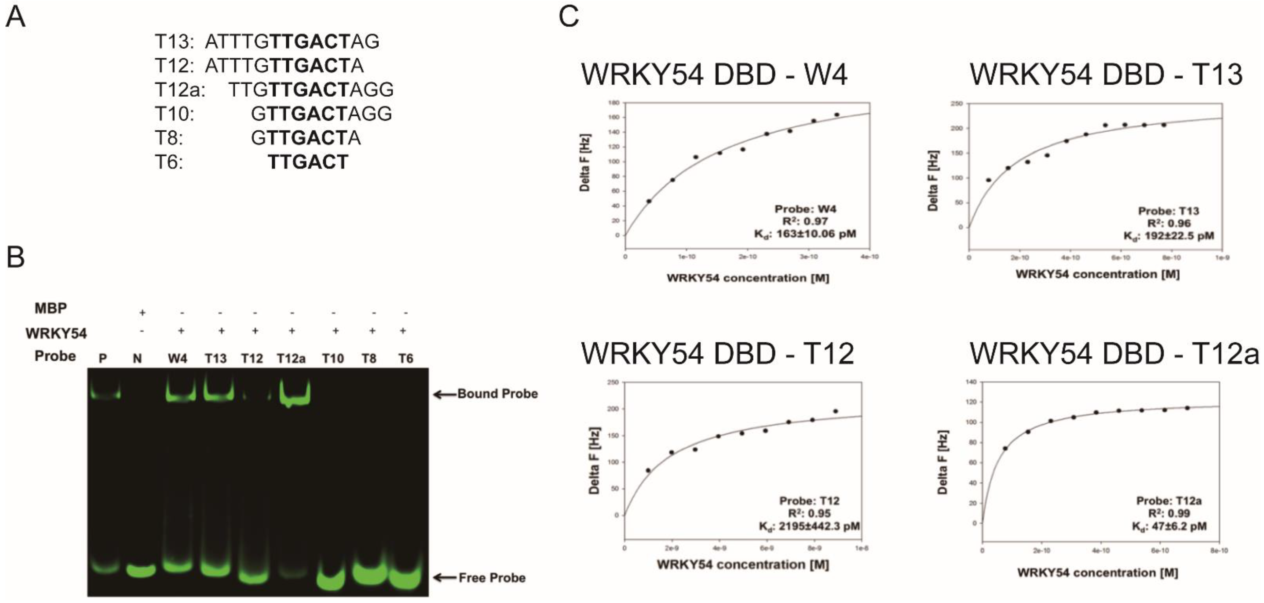 Ijms 23 02895 g005 550