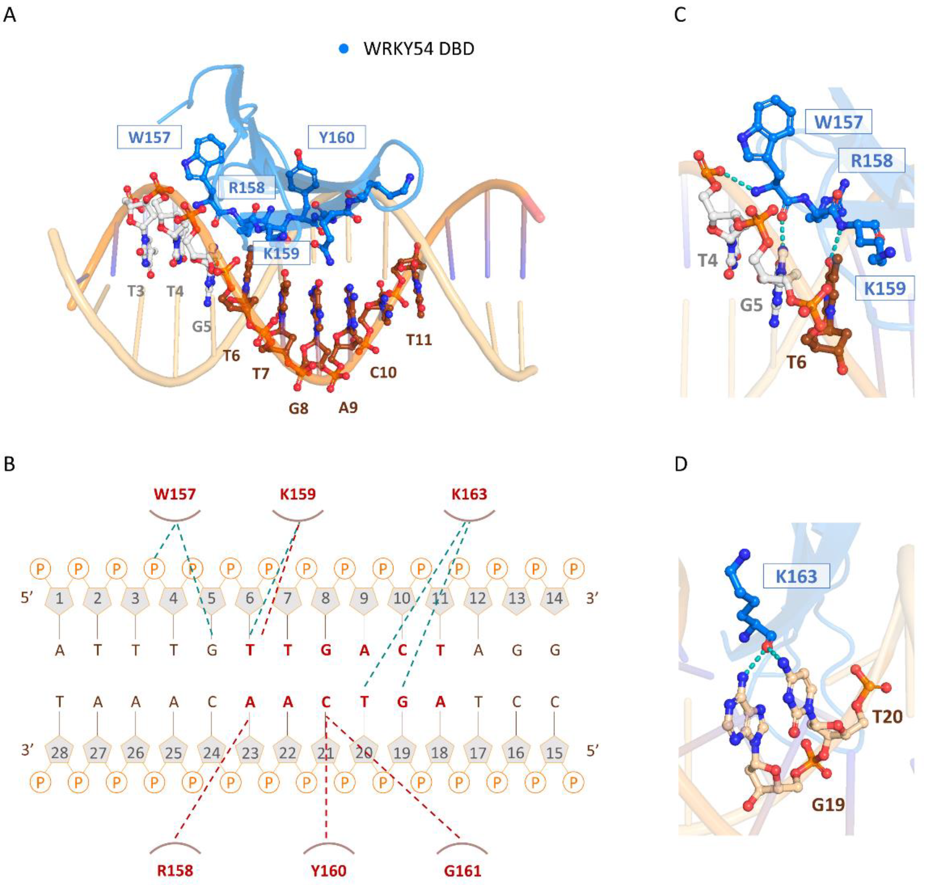Ijms 23 02895 g006 550