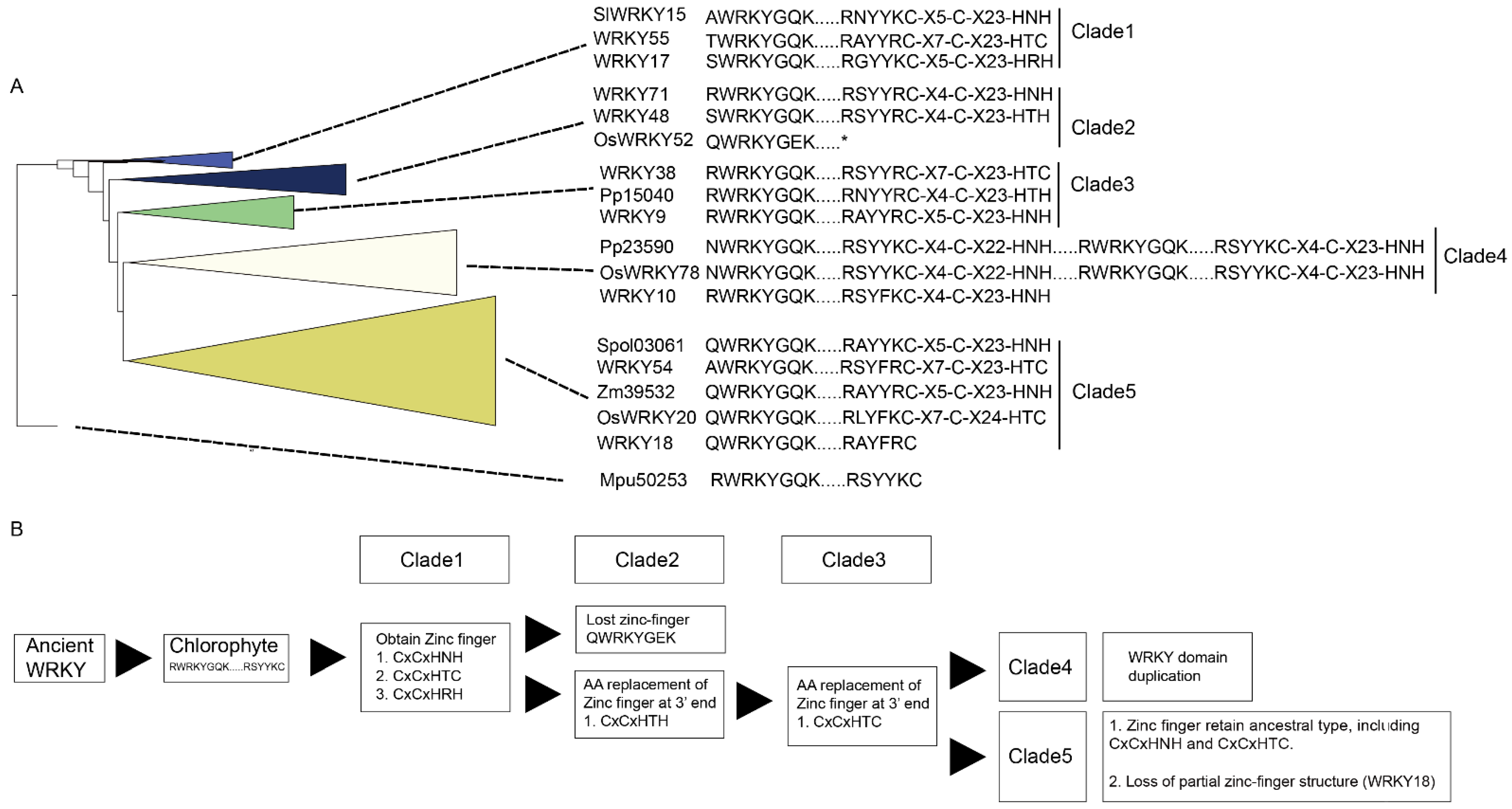 Ijms 23 02895 g007 550