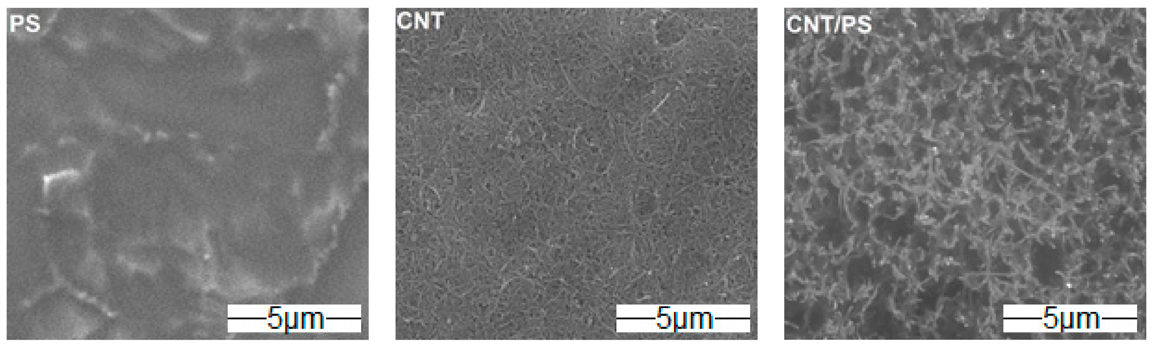 Ijms 23 02897 g001 550