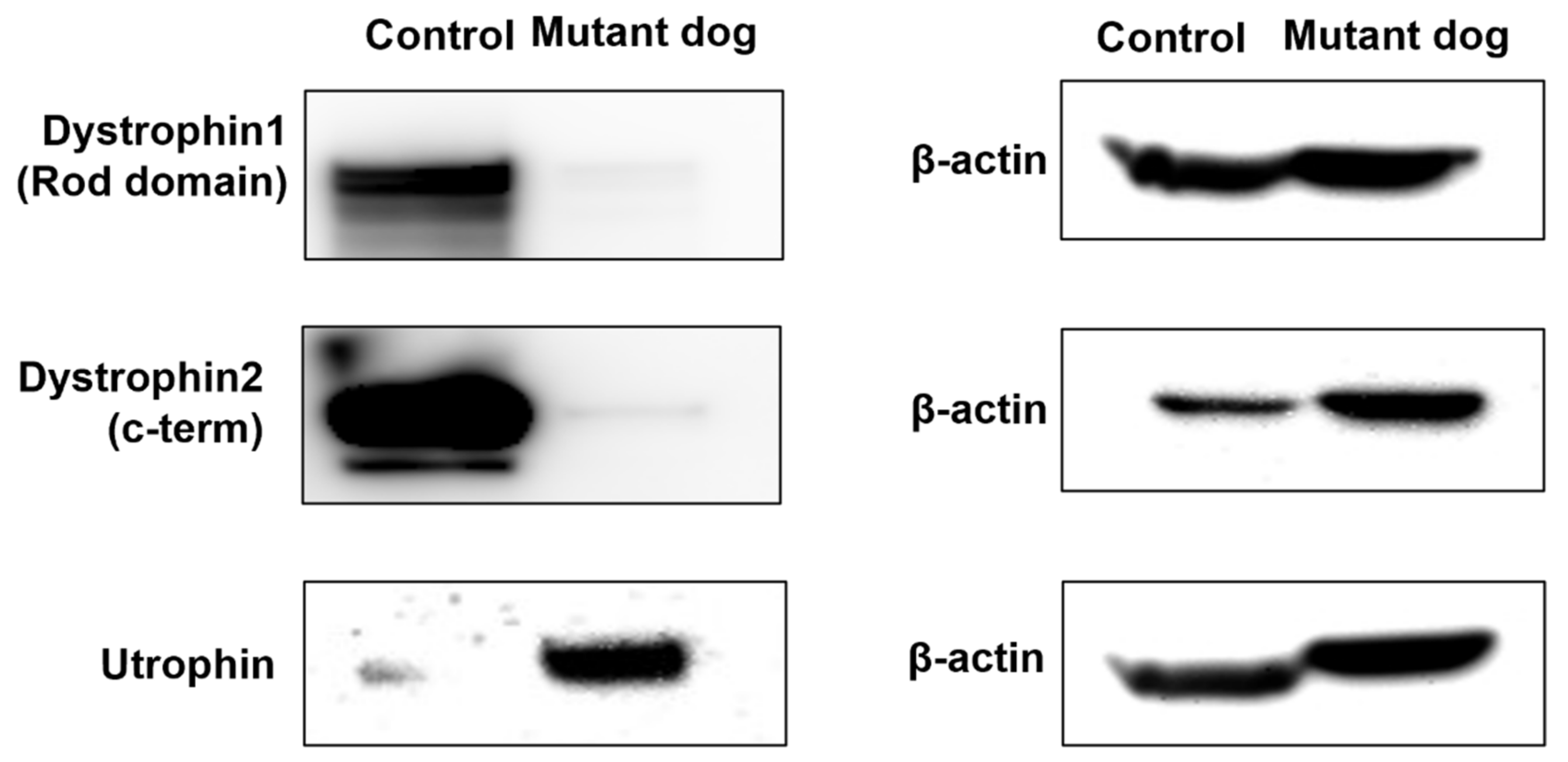 Ijms 23 02898 g004 550