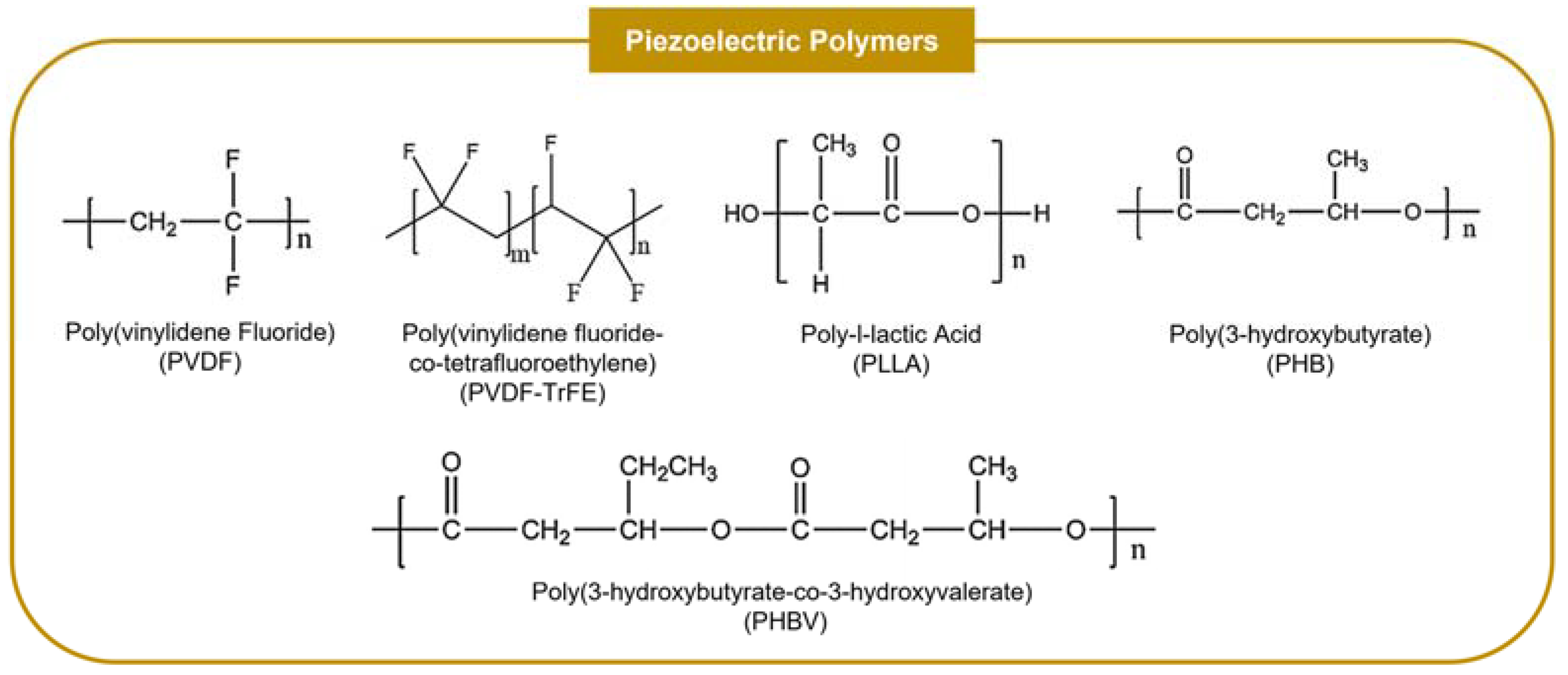 Ijms 23 02907 g003 550