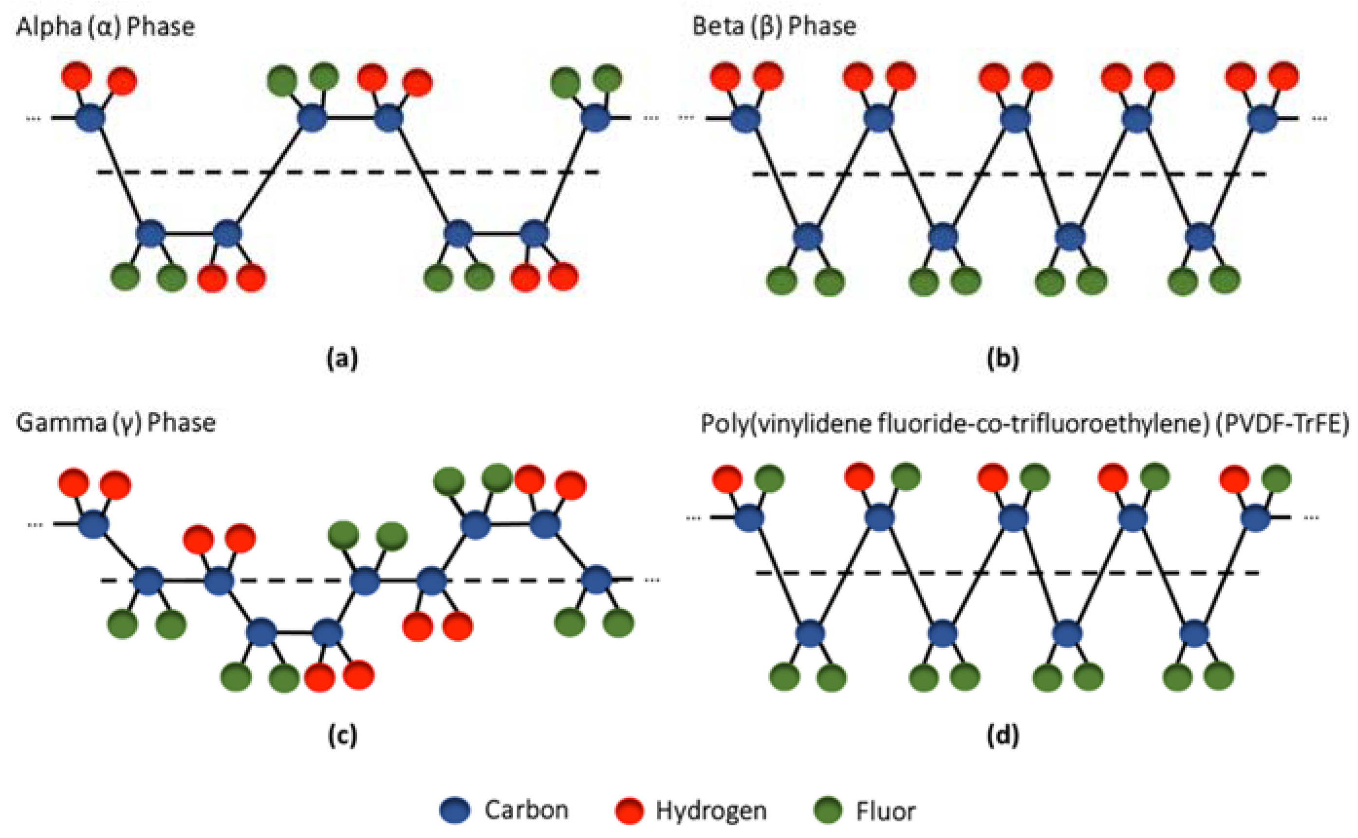 Ijms 23 02907 g004 550