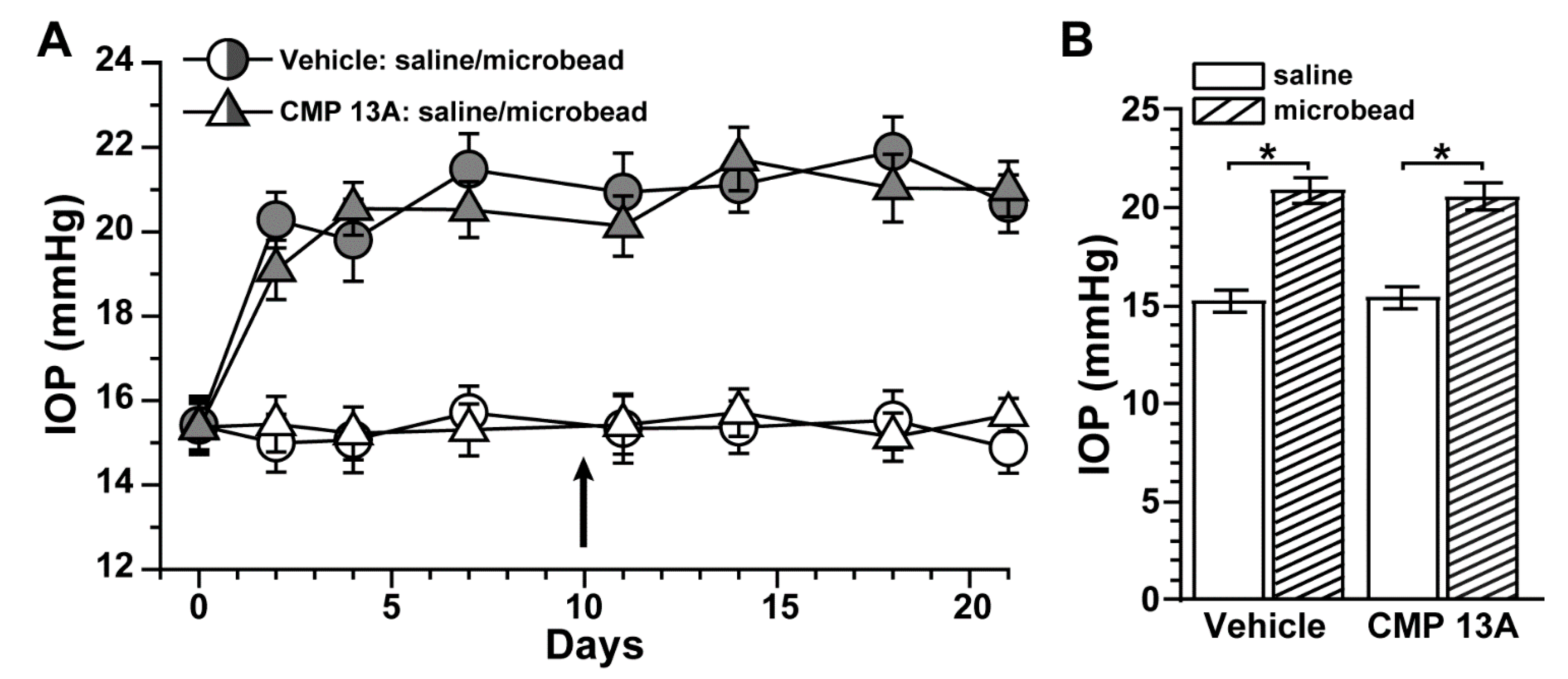 Ijms 23 02911 g001 Ijms 23 02911 g001