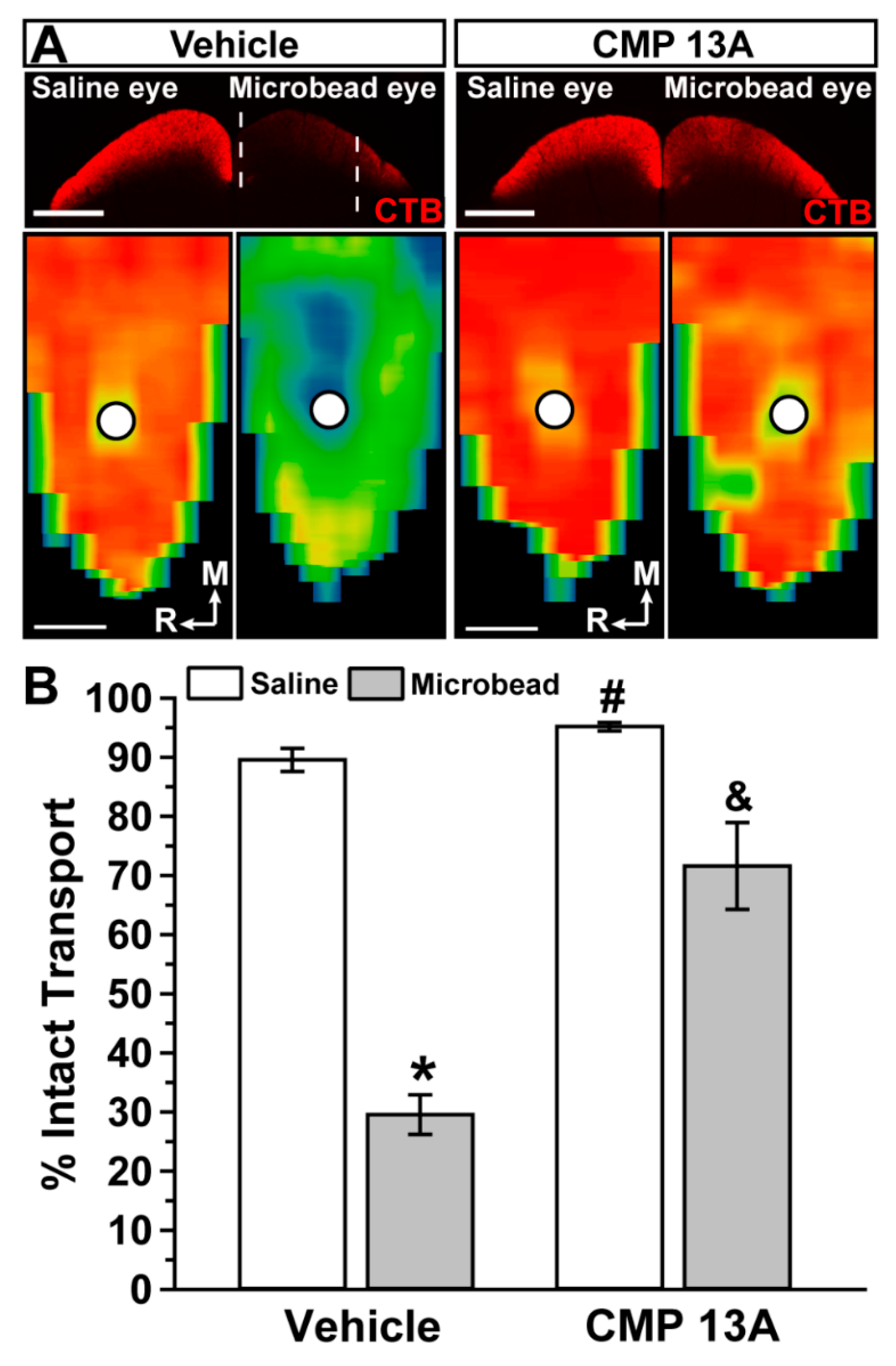 Ijms 23 02911 g002 Ijms 23 02911 g002