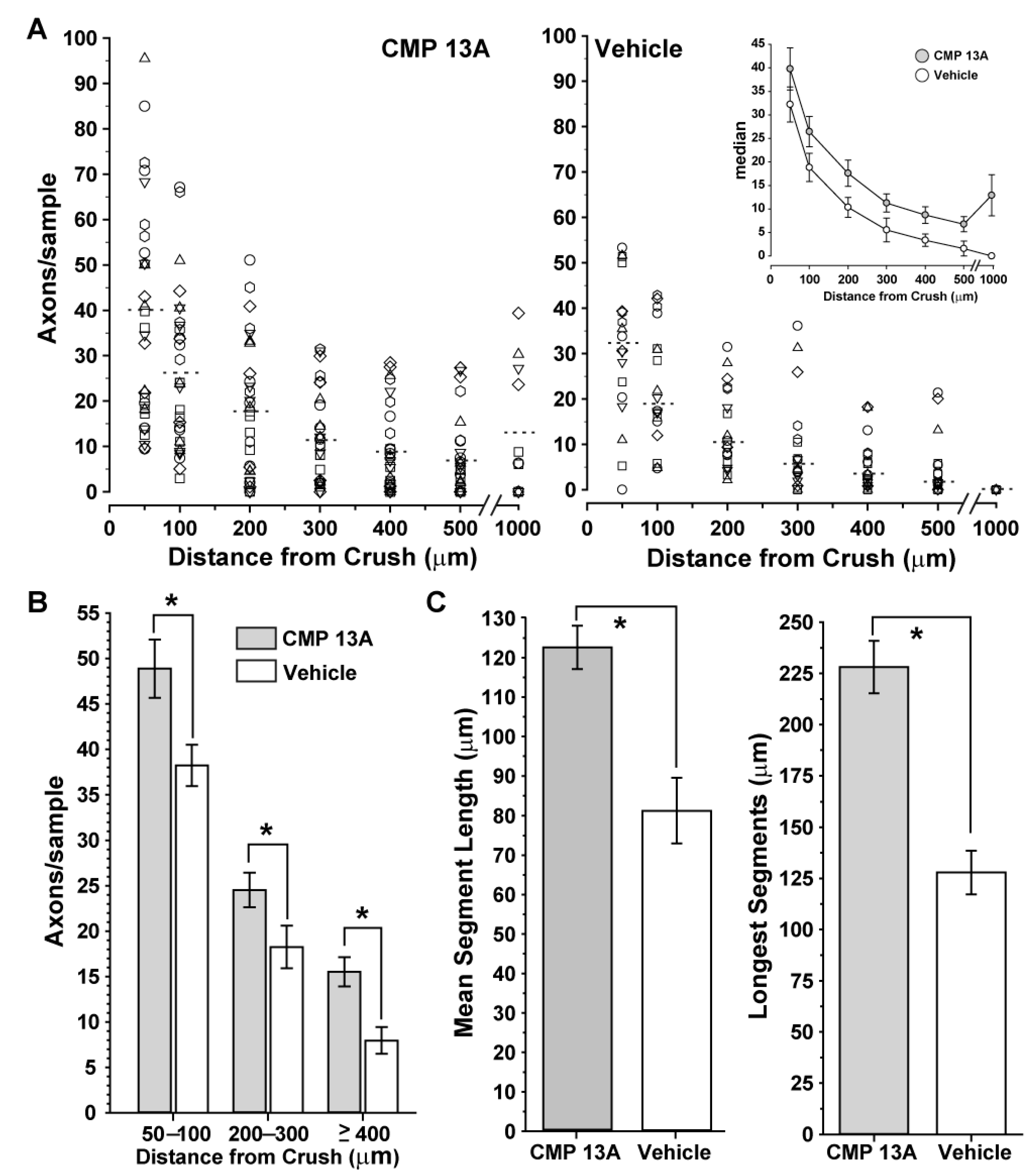 Ijms 23 02911 g004 Ijms 23 02911 g004