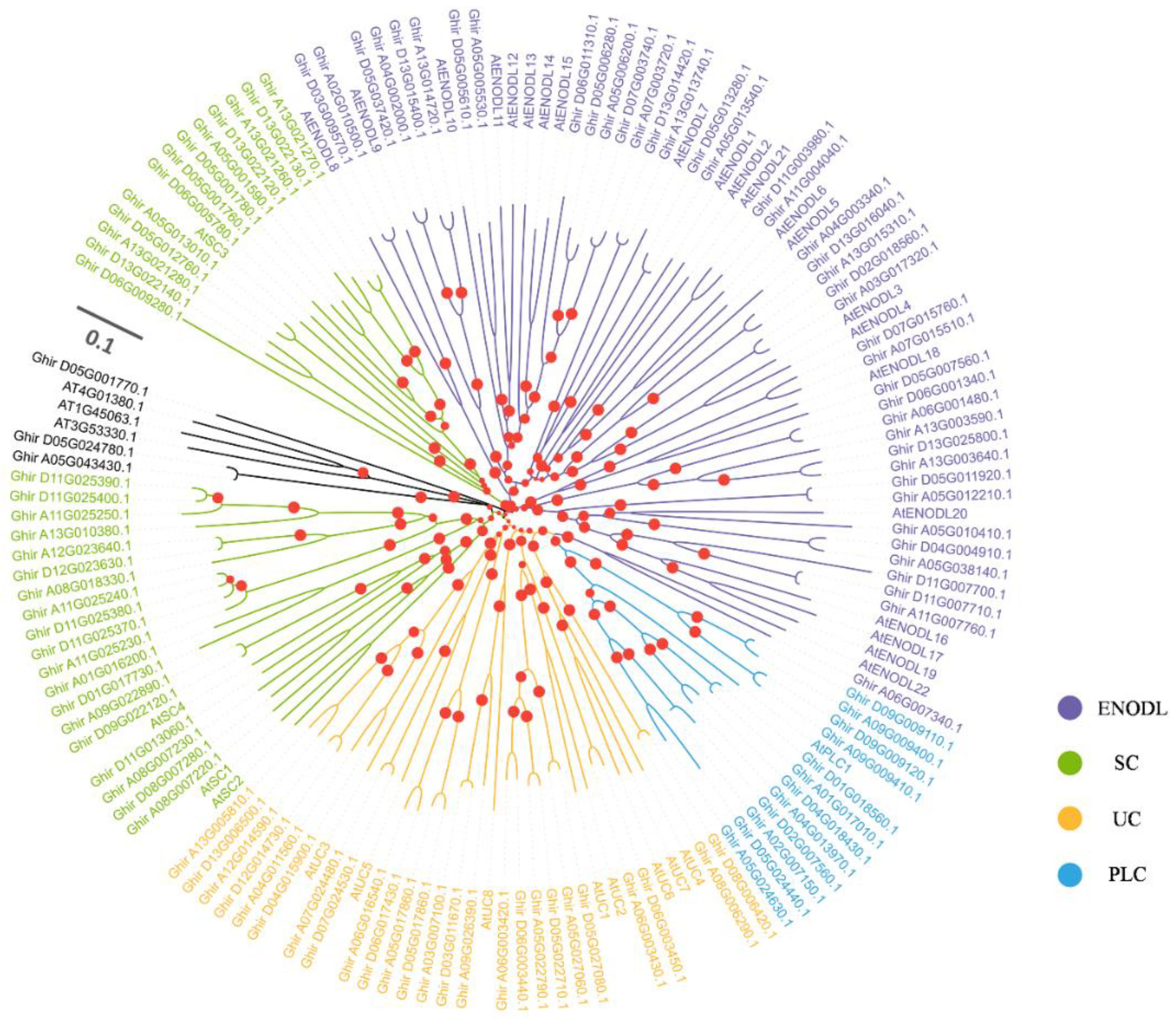 Ijms 23 02913 g001 550