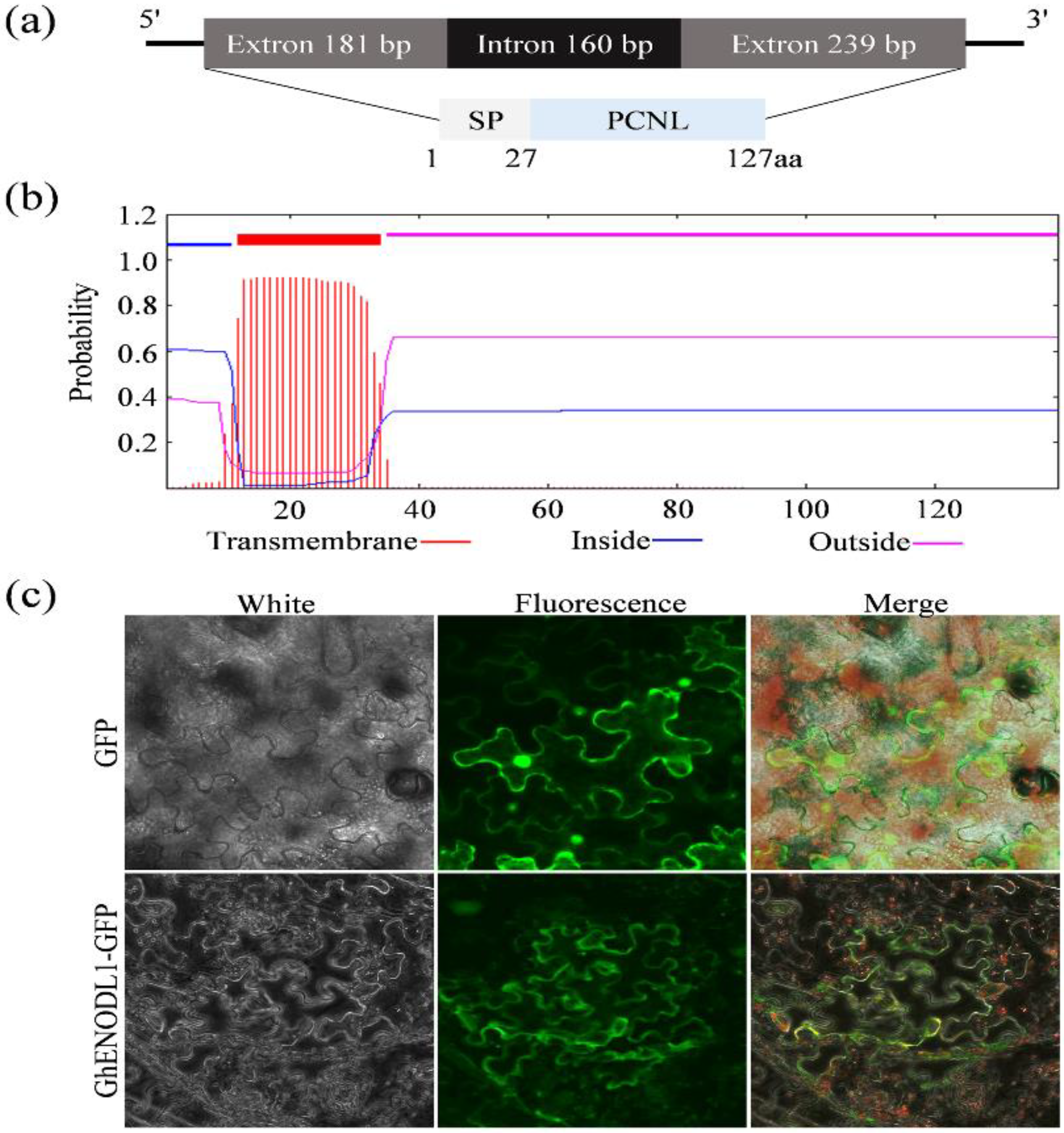 Ijms 23 02913 g003 550
