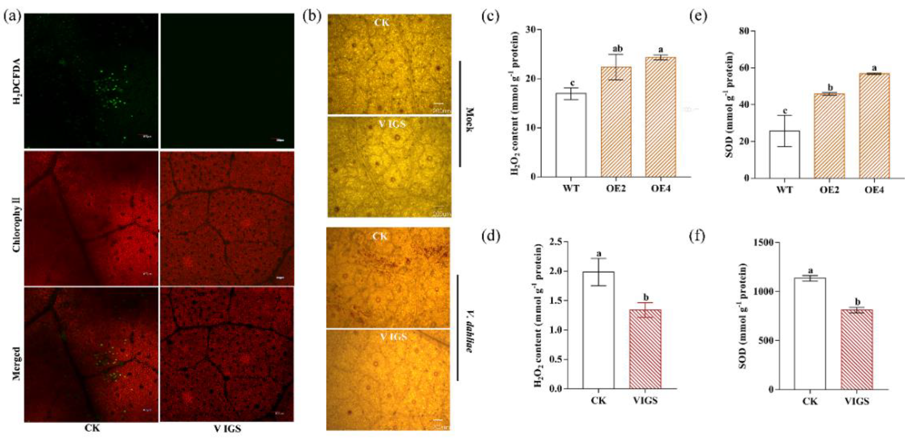 Ijms 23 02913 g009 550