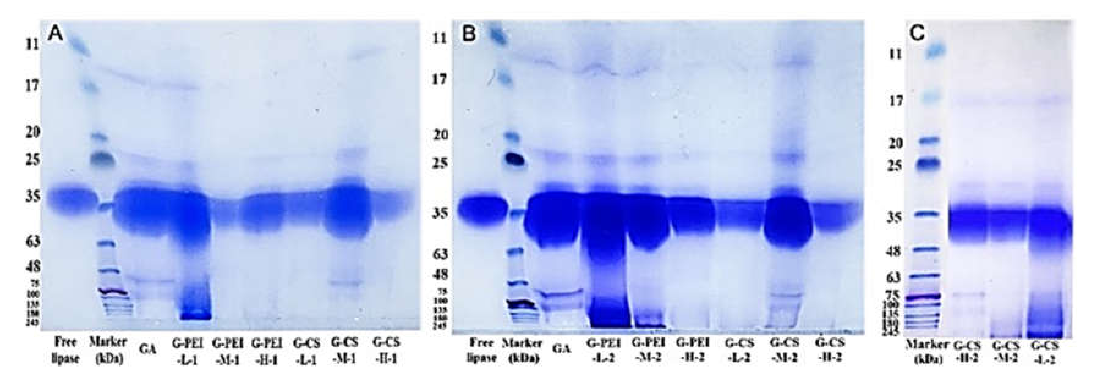 Ijms 23 02917 g004 550