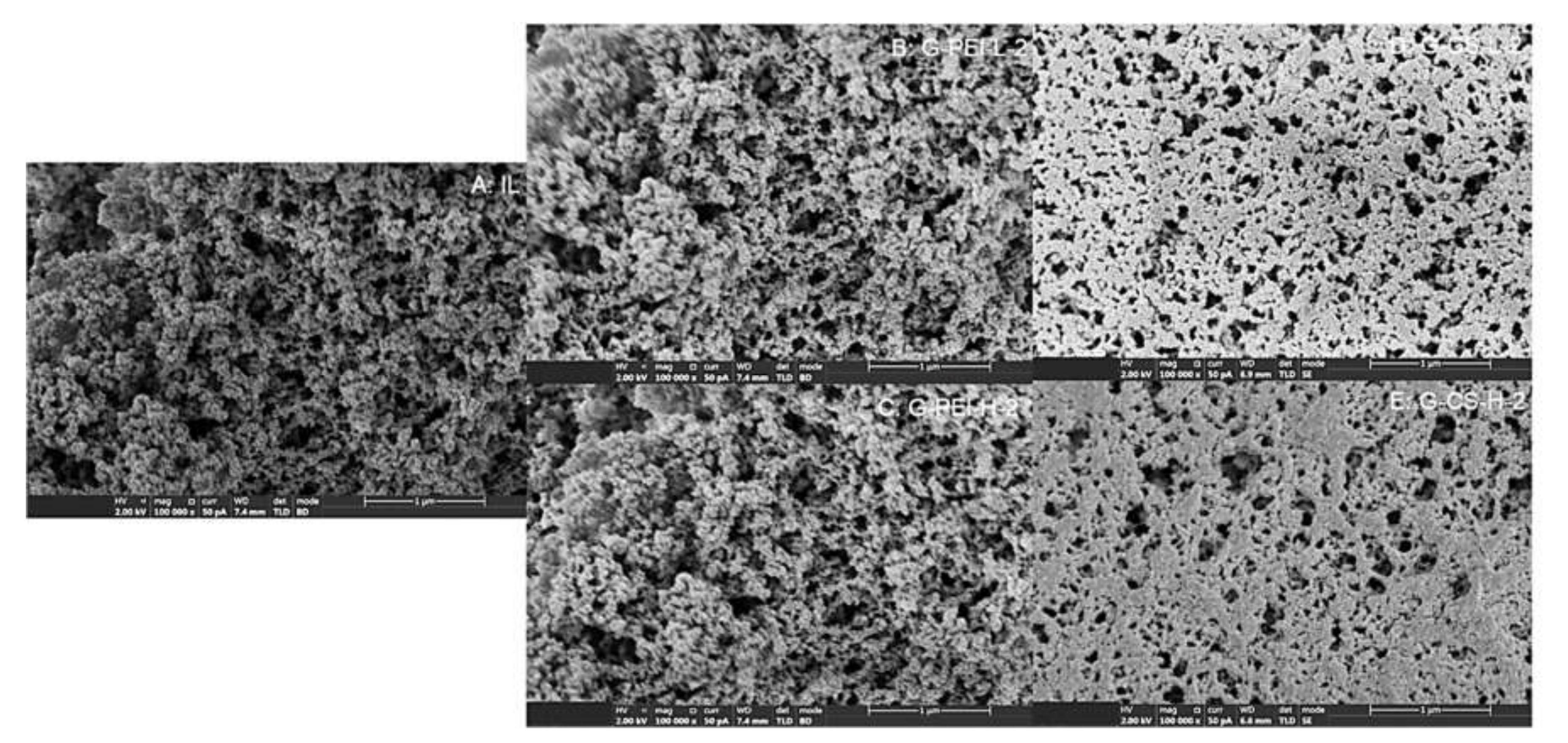 Ijms 23 02917 g006 550