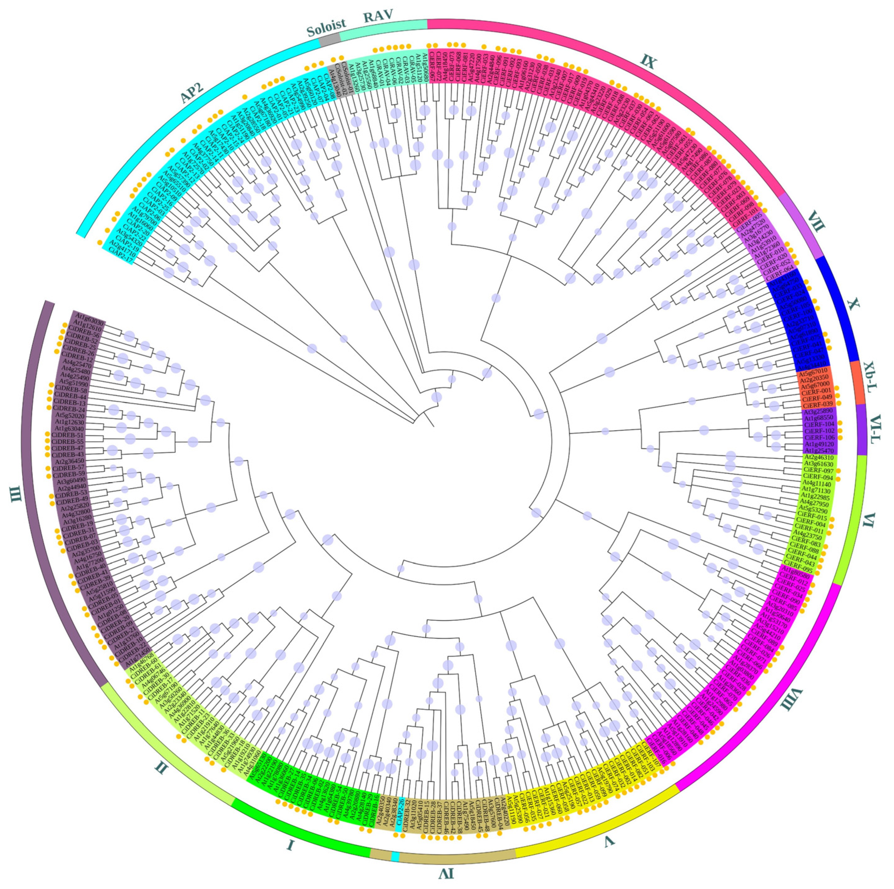 Ijms 23 02920 g001 550