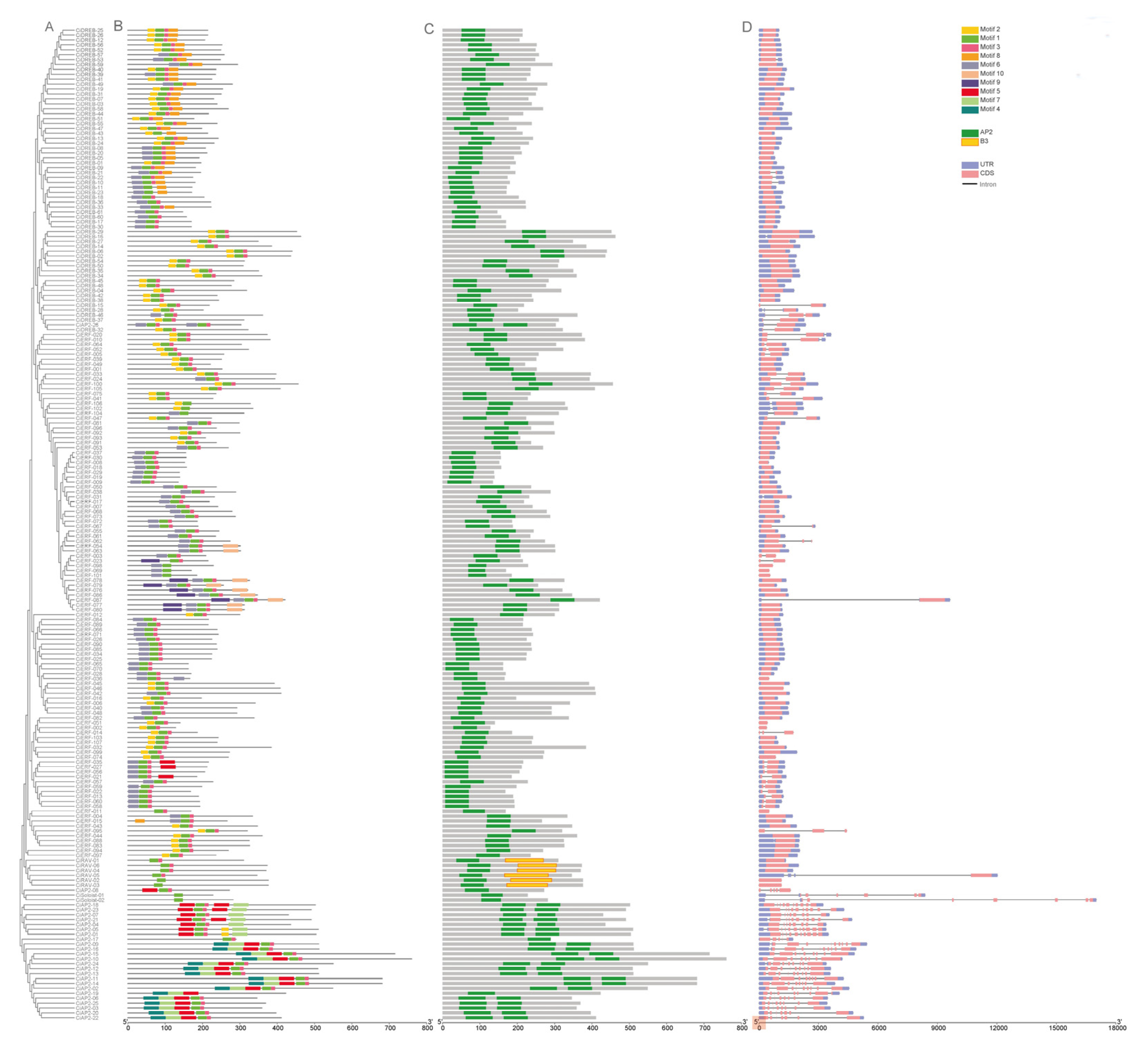 Ijms 23 02920 g002 550