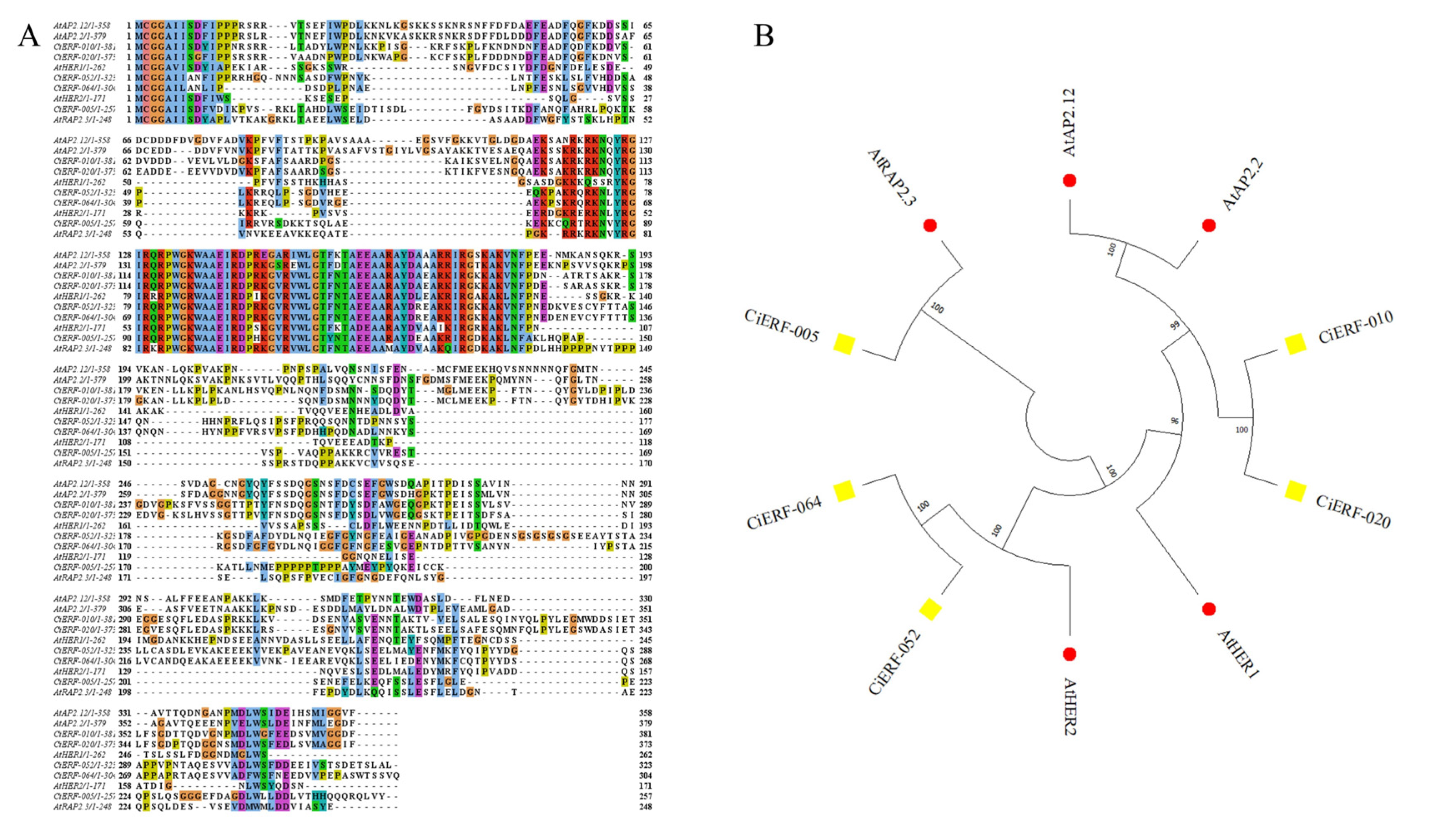 Ijms 23 02920 g008 550
