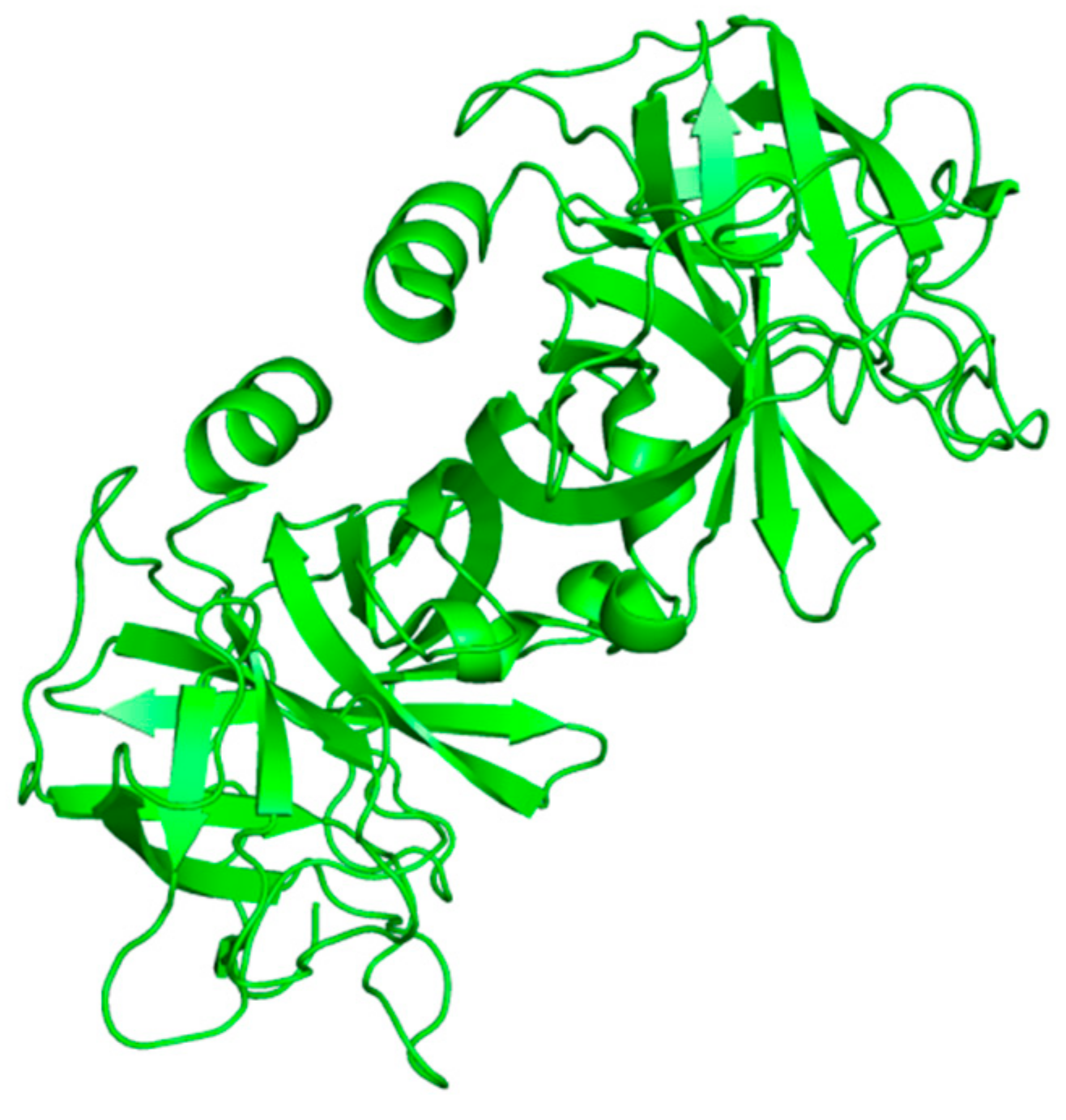 Ijms 23 02924 g001 Ijms 23 02924 g001