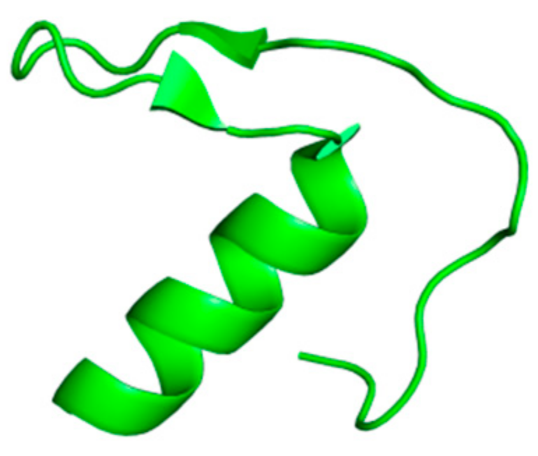 Ijms 23 02924 g002 Ijms 23 02924 g002