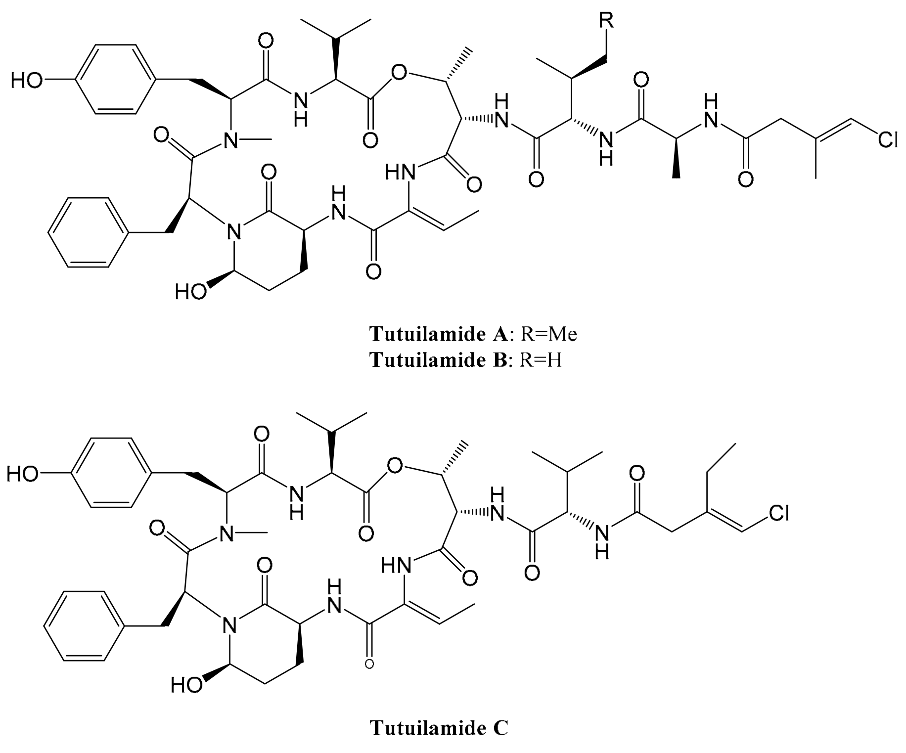 Ijms 23 02924 g005 Ijms 23 02924 g005