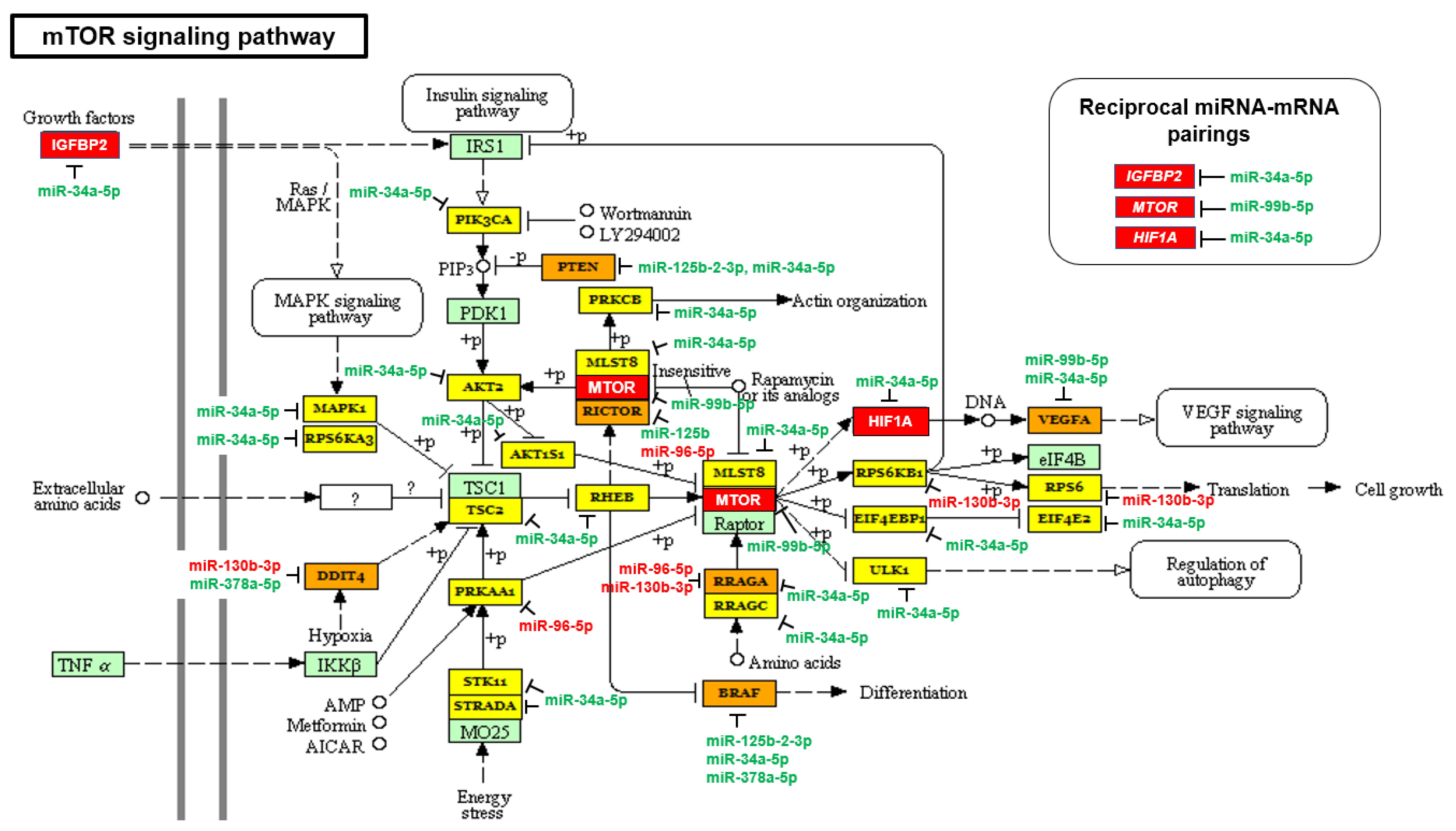 Ijms 23 02926 g001 550