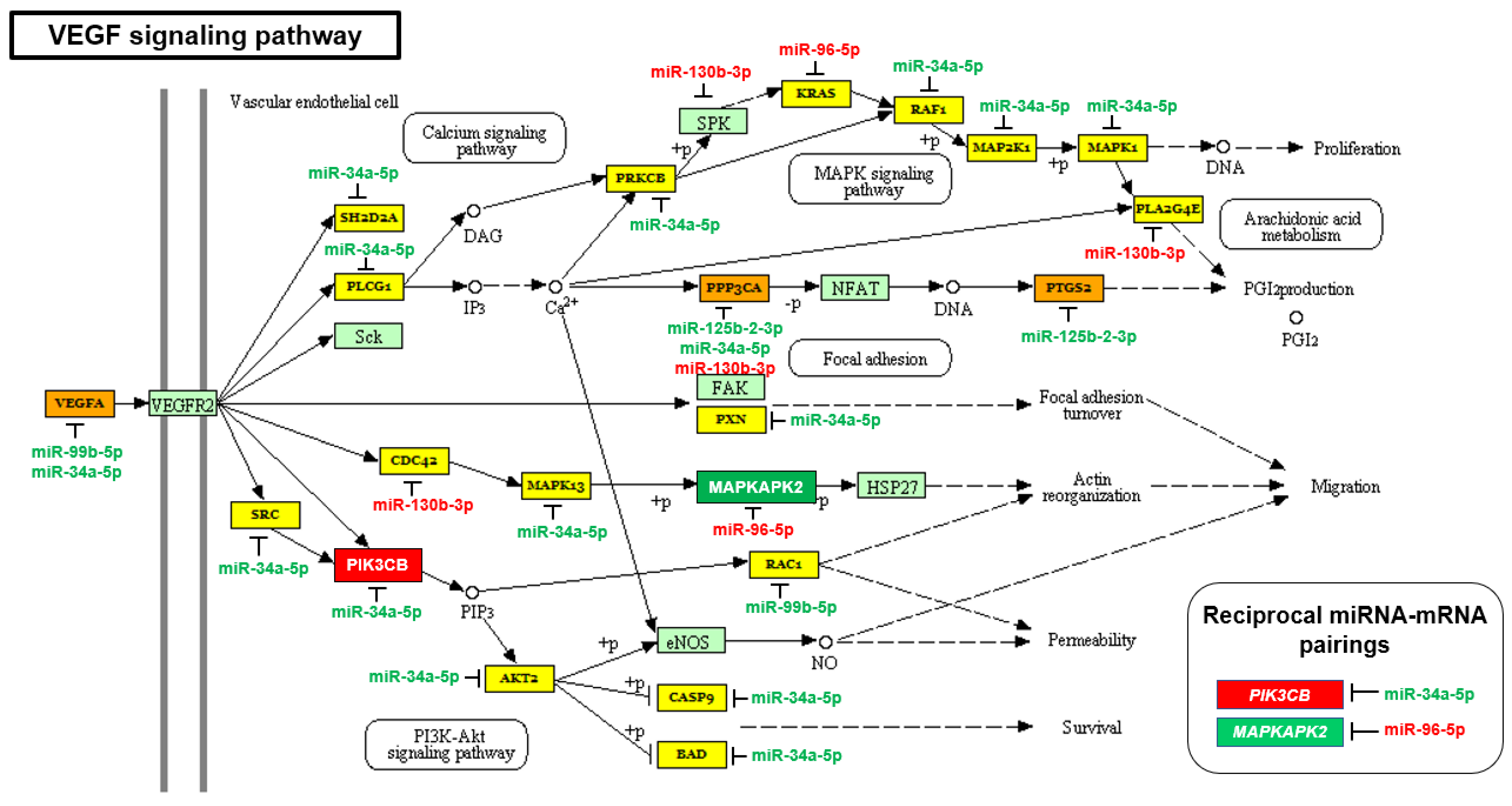 Ijms 23 02926 g002 550