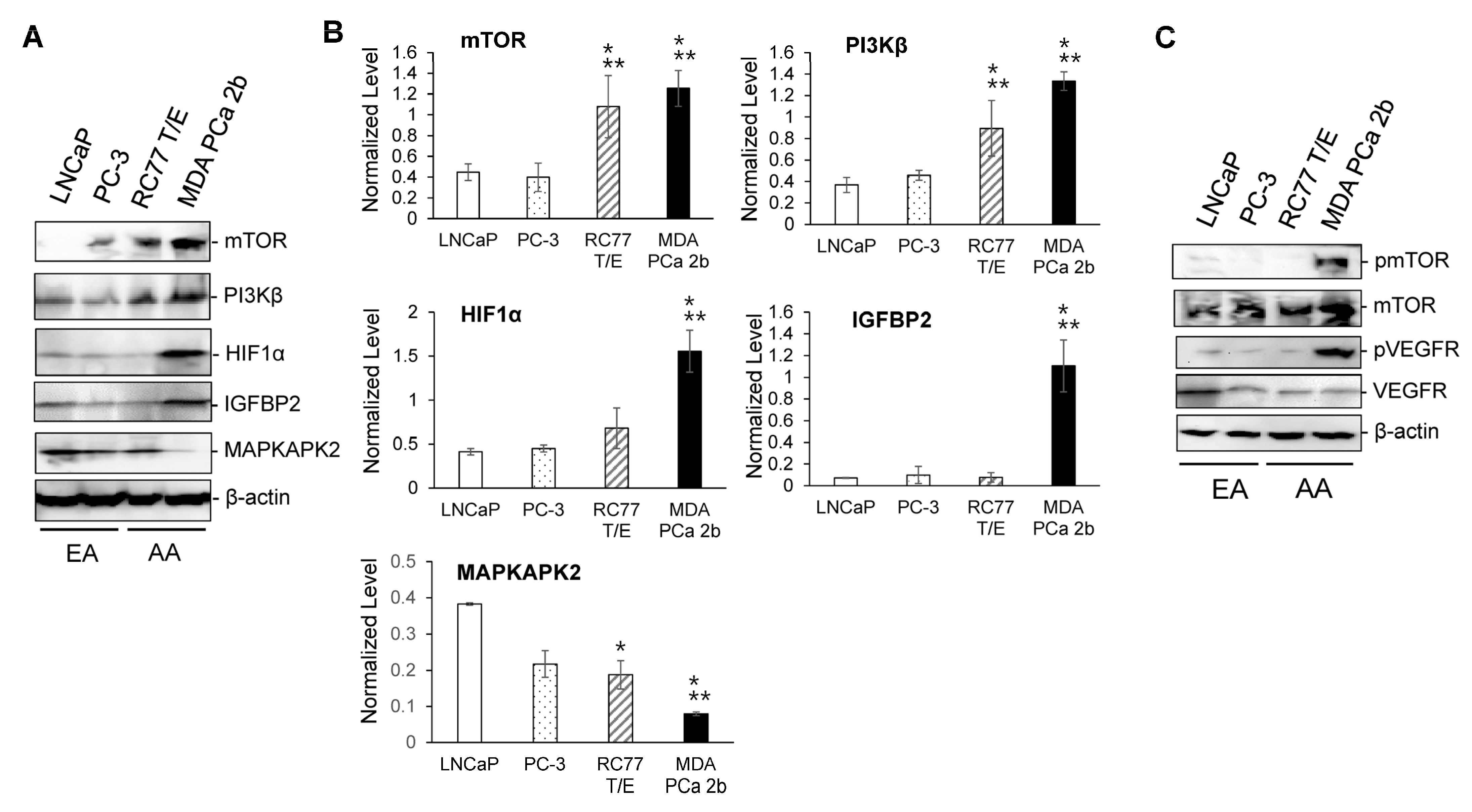 Ijms 23 02926 g004 550